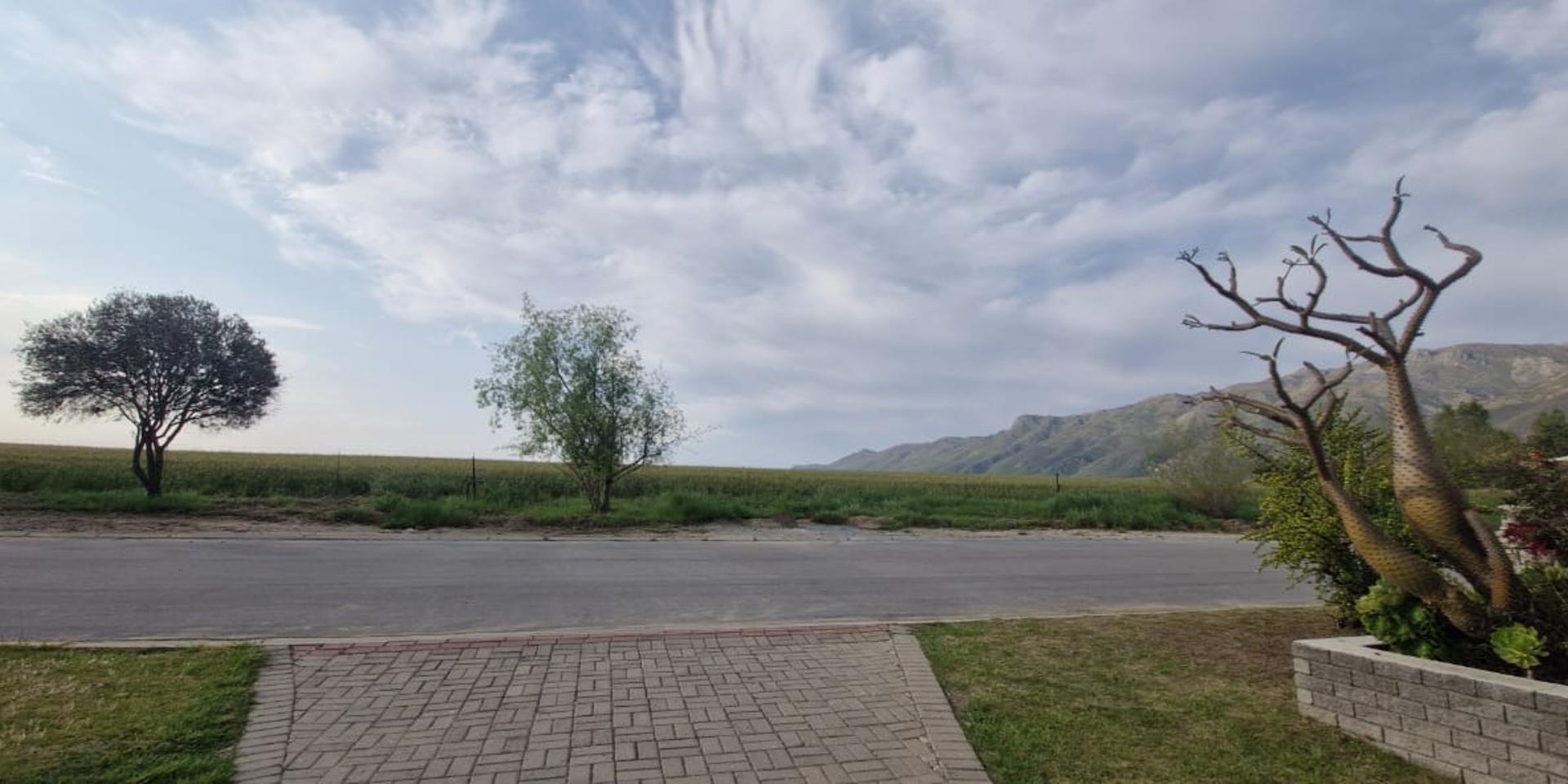 Image 4 of 6