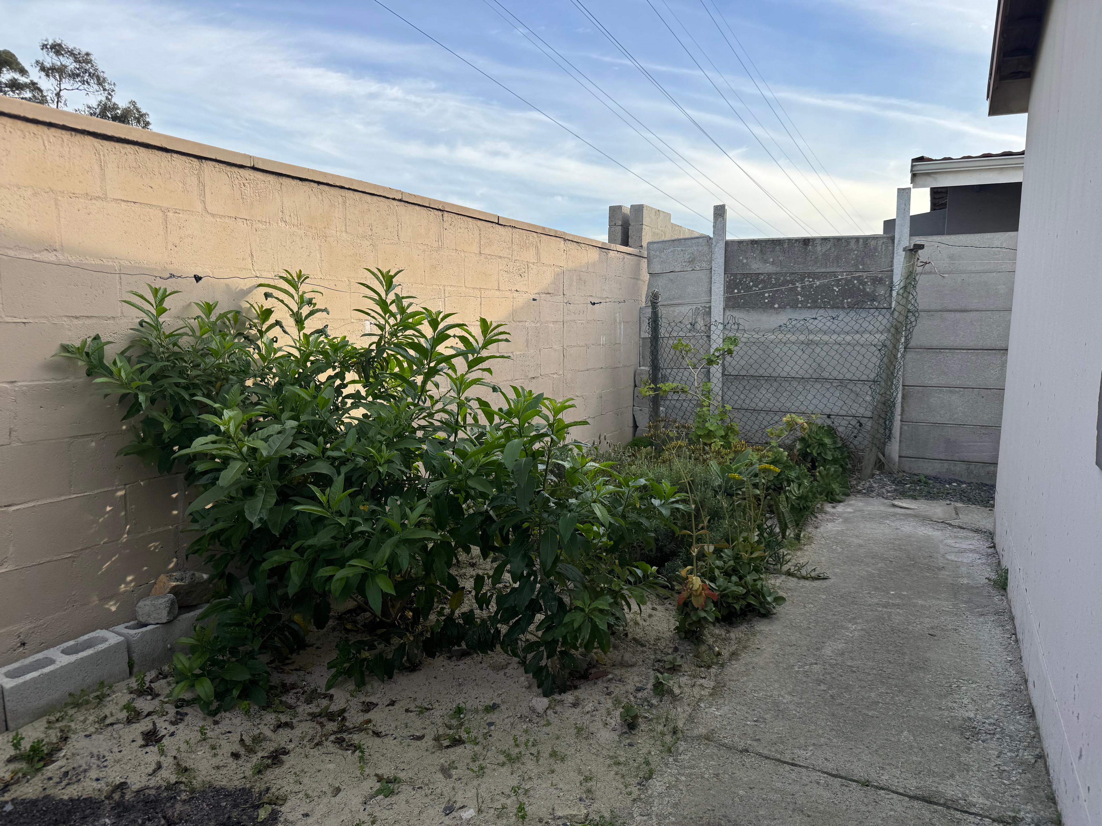 Image 15