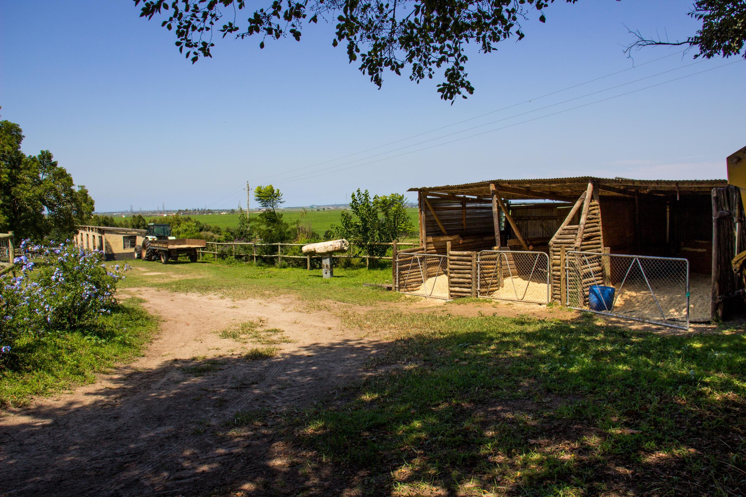 Image 2 of 6