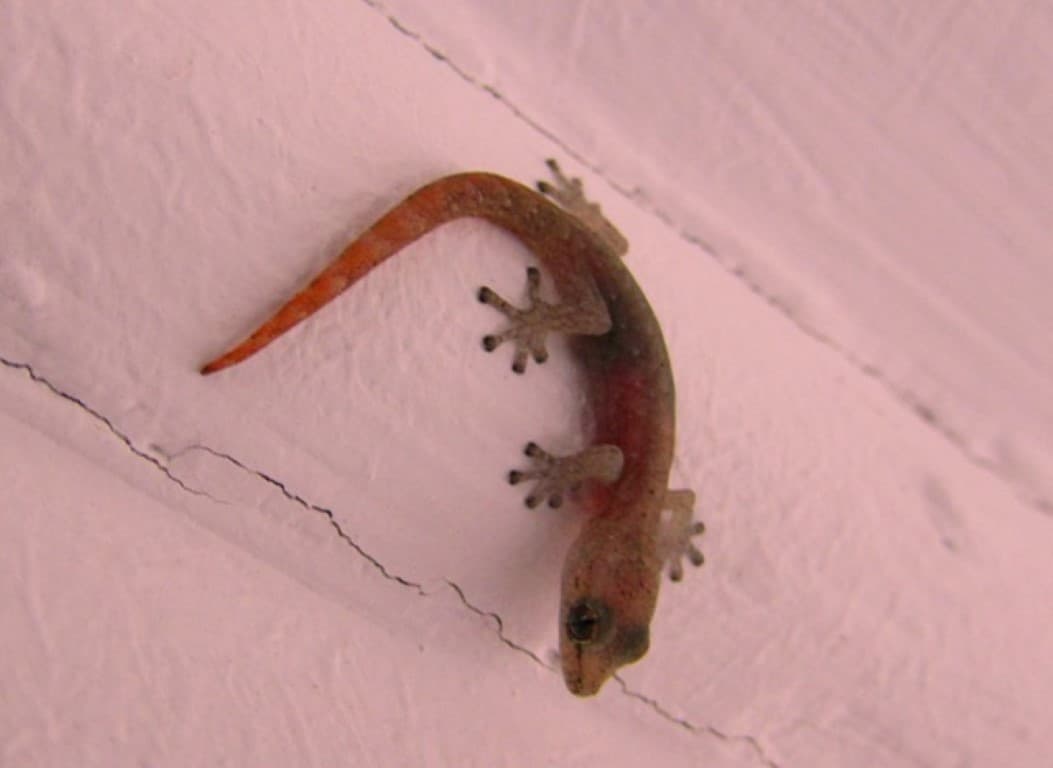 Image 22