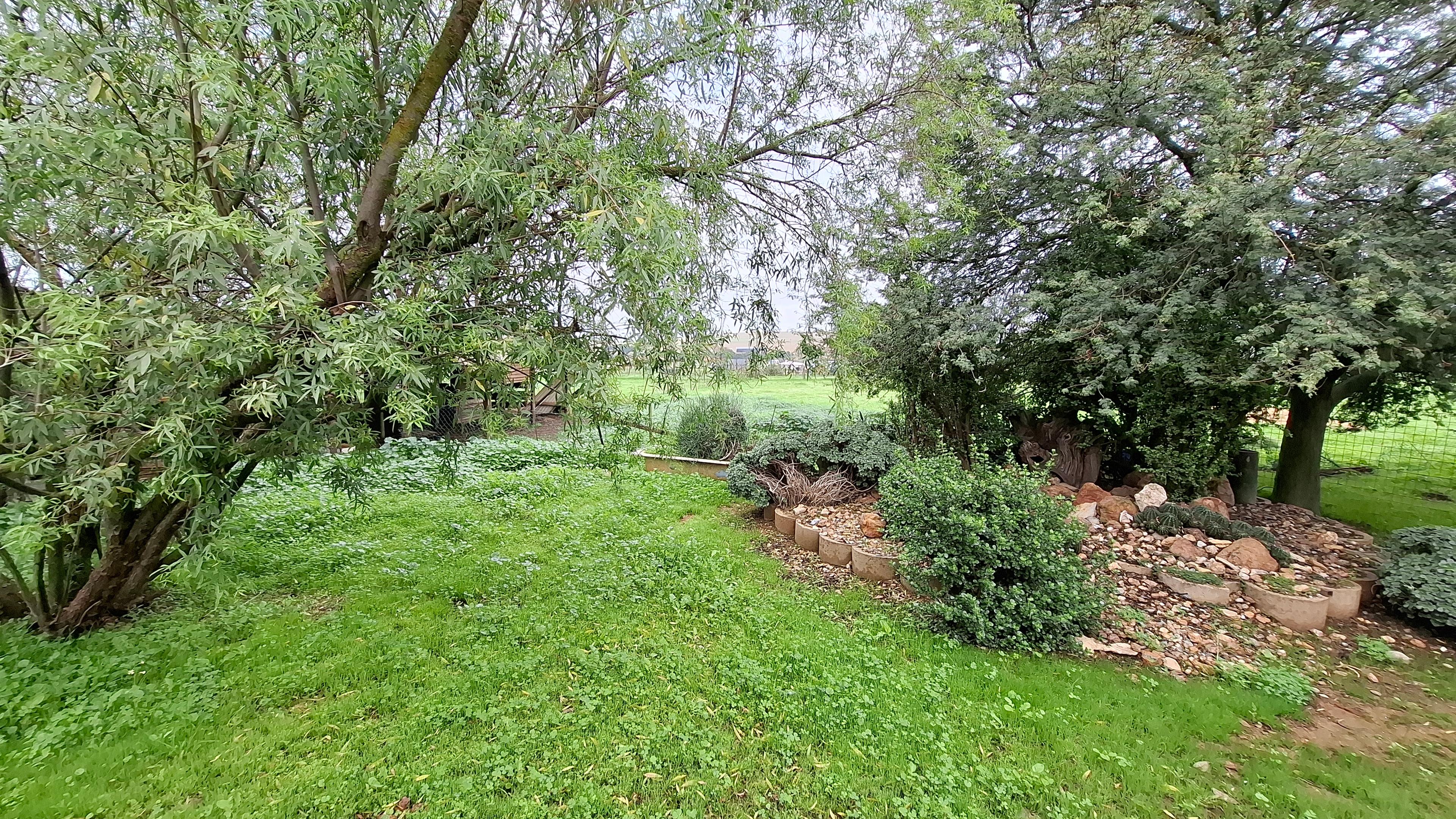 Image 4 of 6
