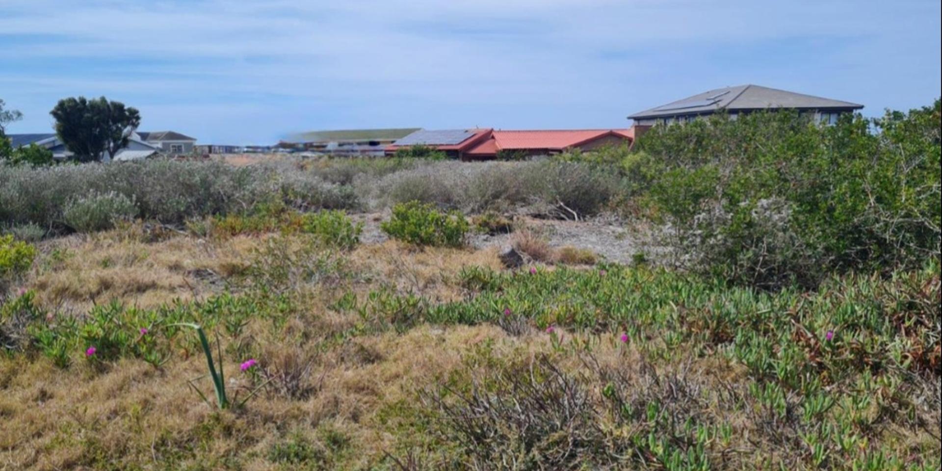 Image 4 of 6