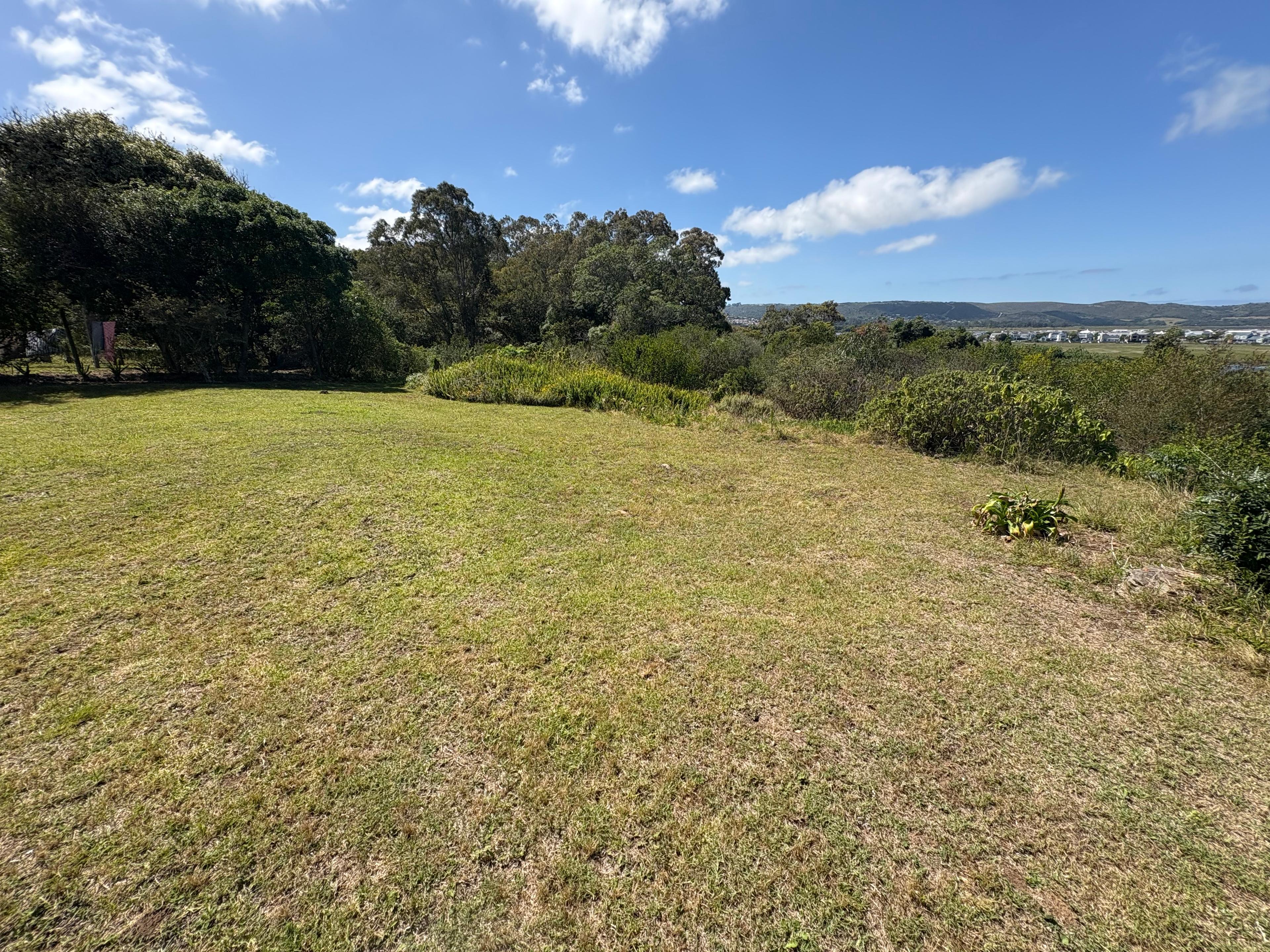 Image 15