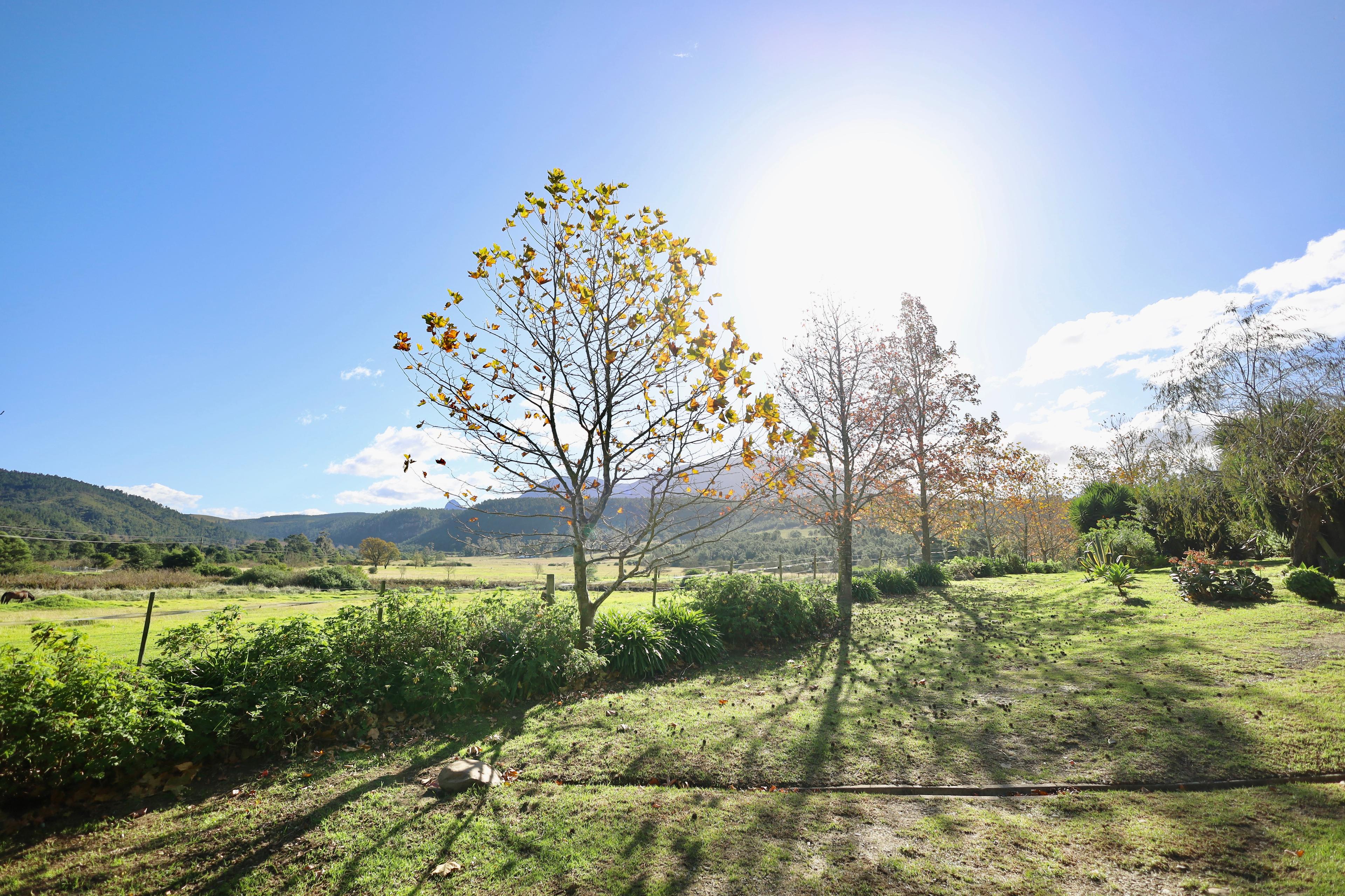 Image 15