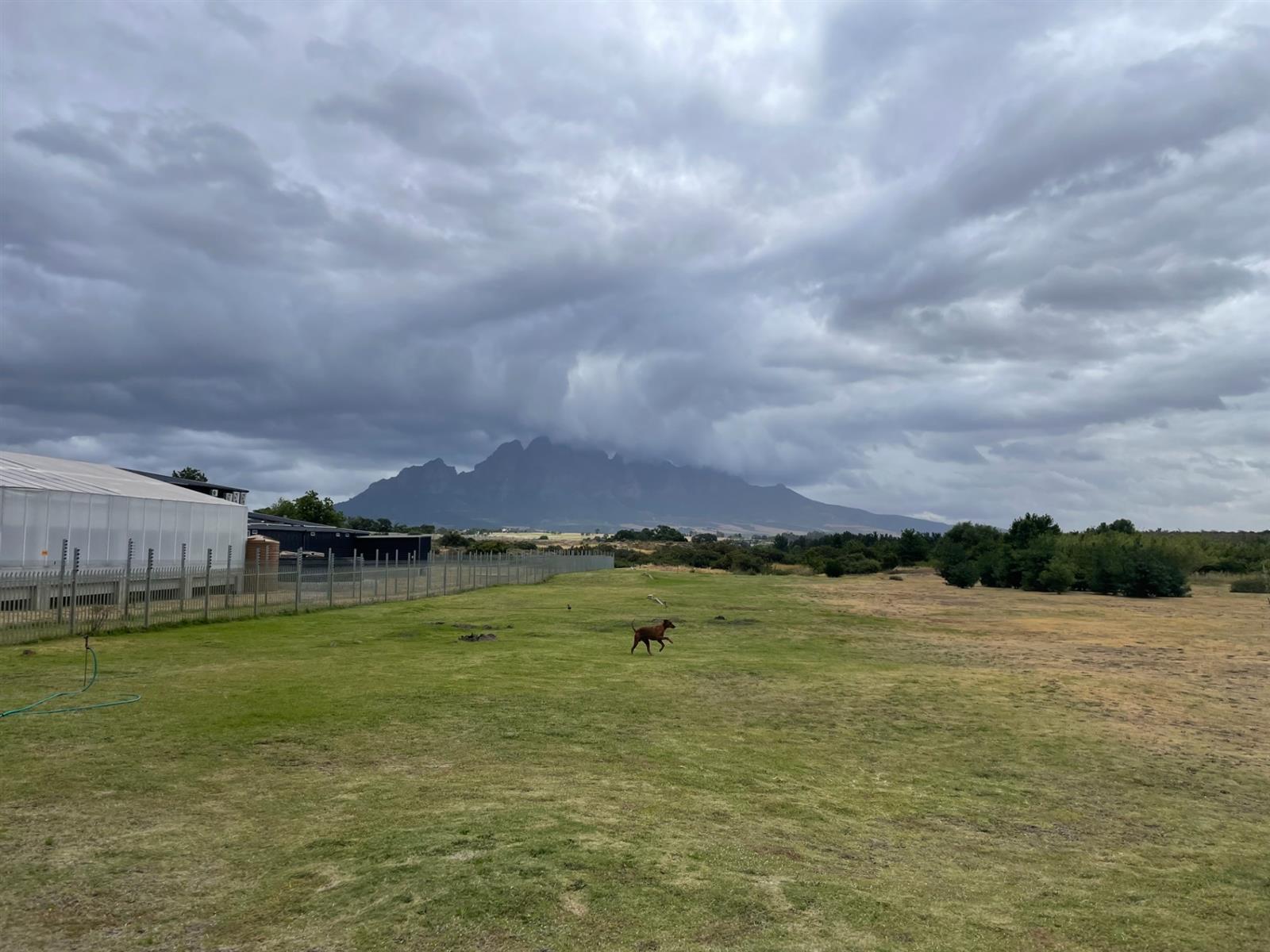 Image 1 of 6