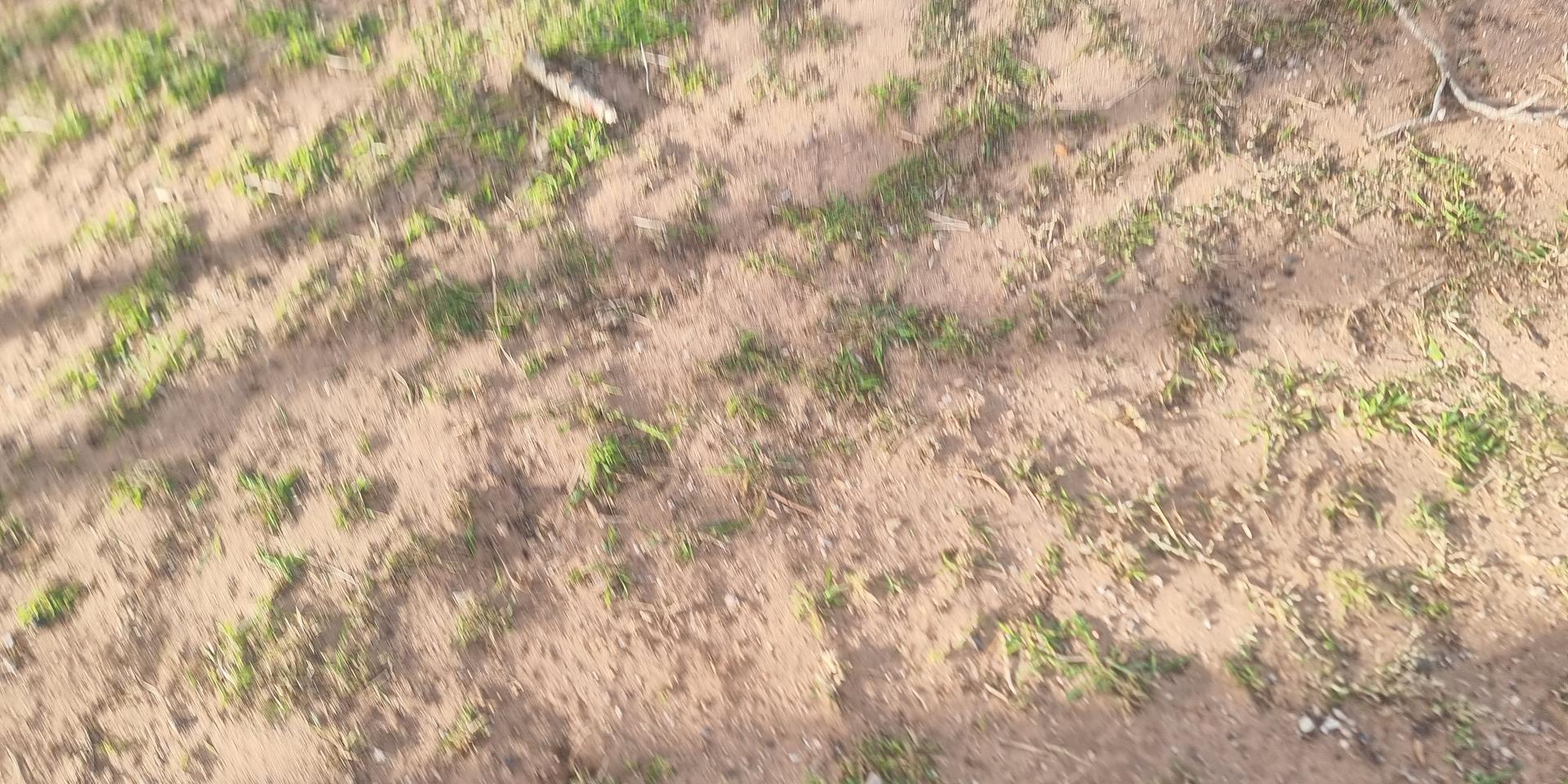 Image 4 of 6