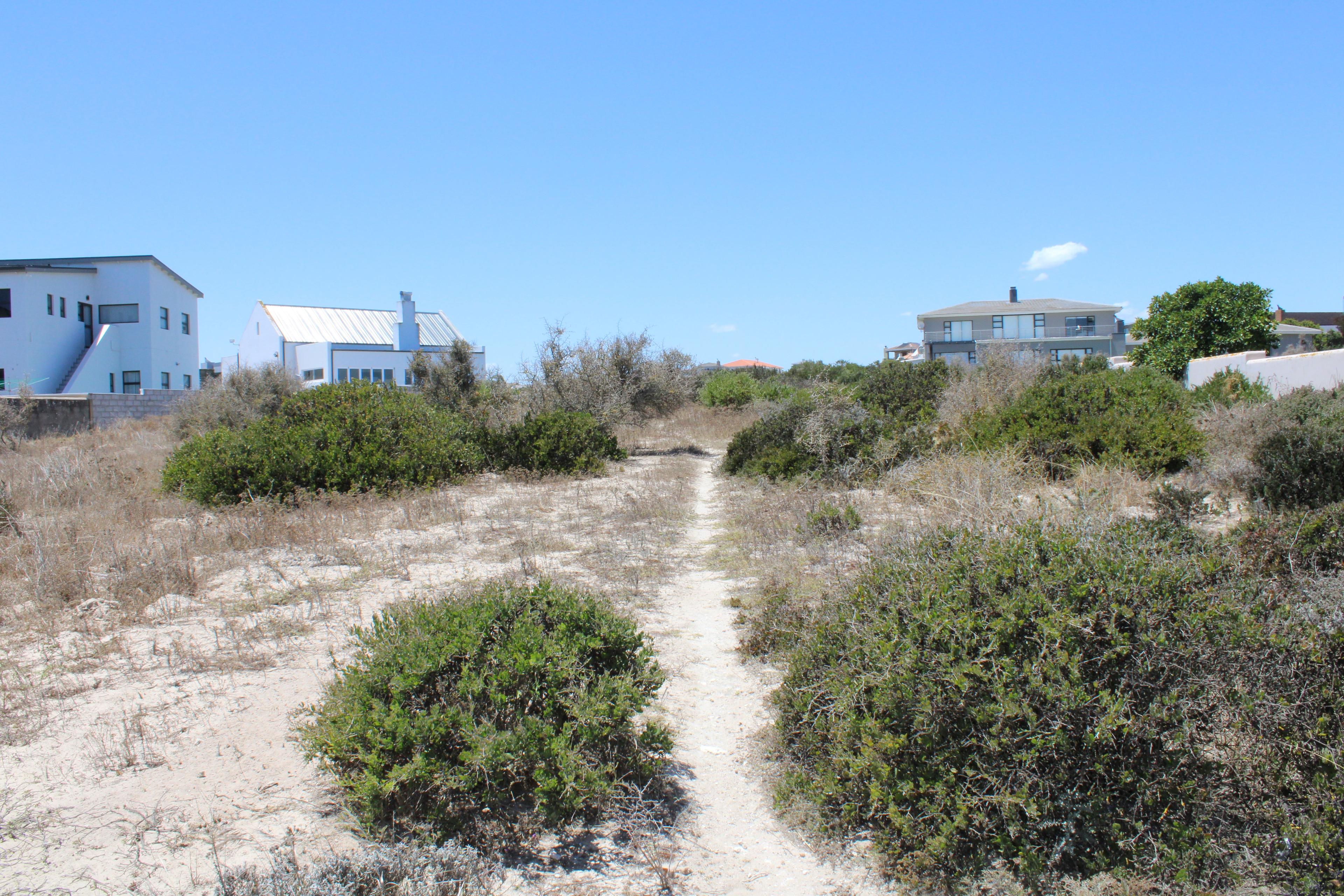 Image 15