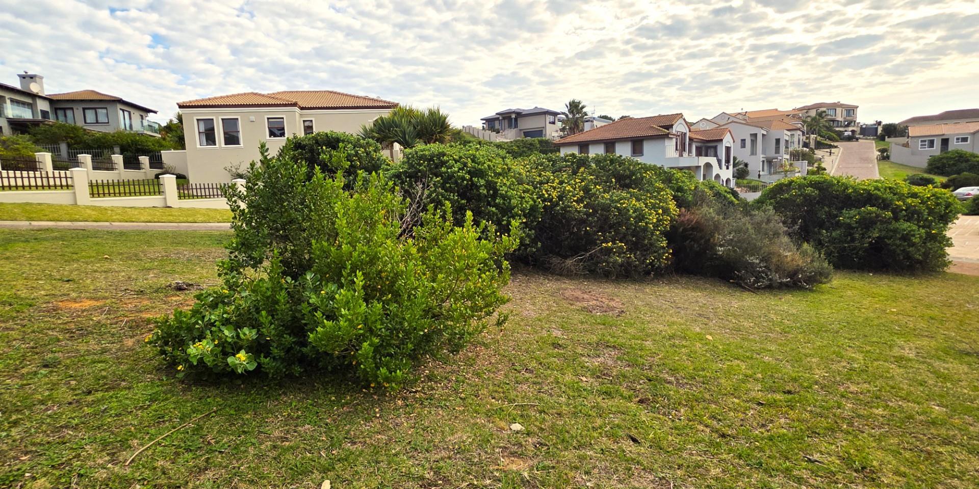 Image 2 of 6