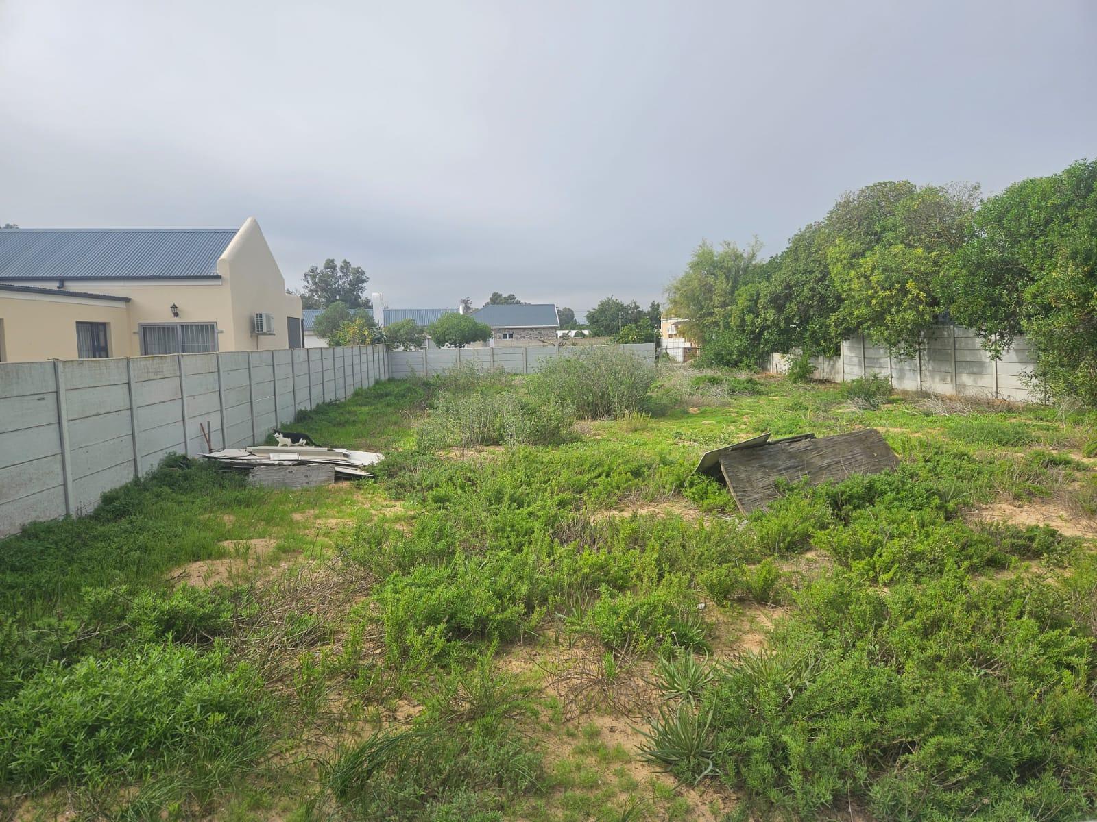 Image 3 of 6