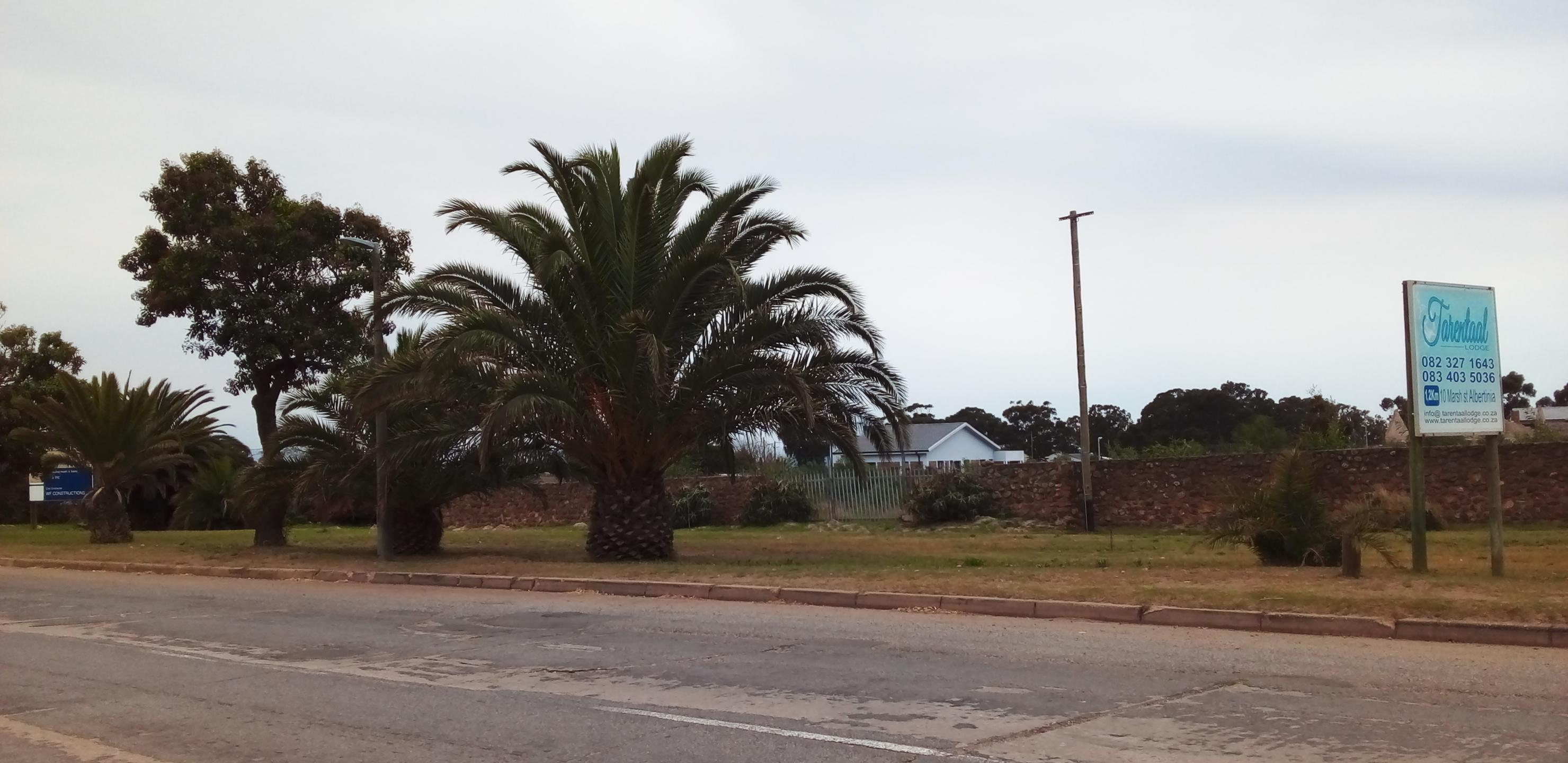 Image 9