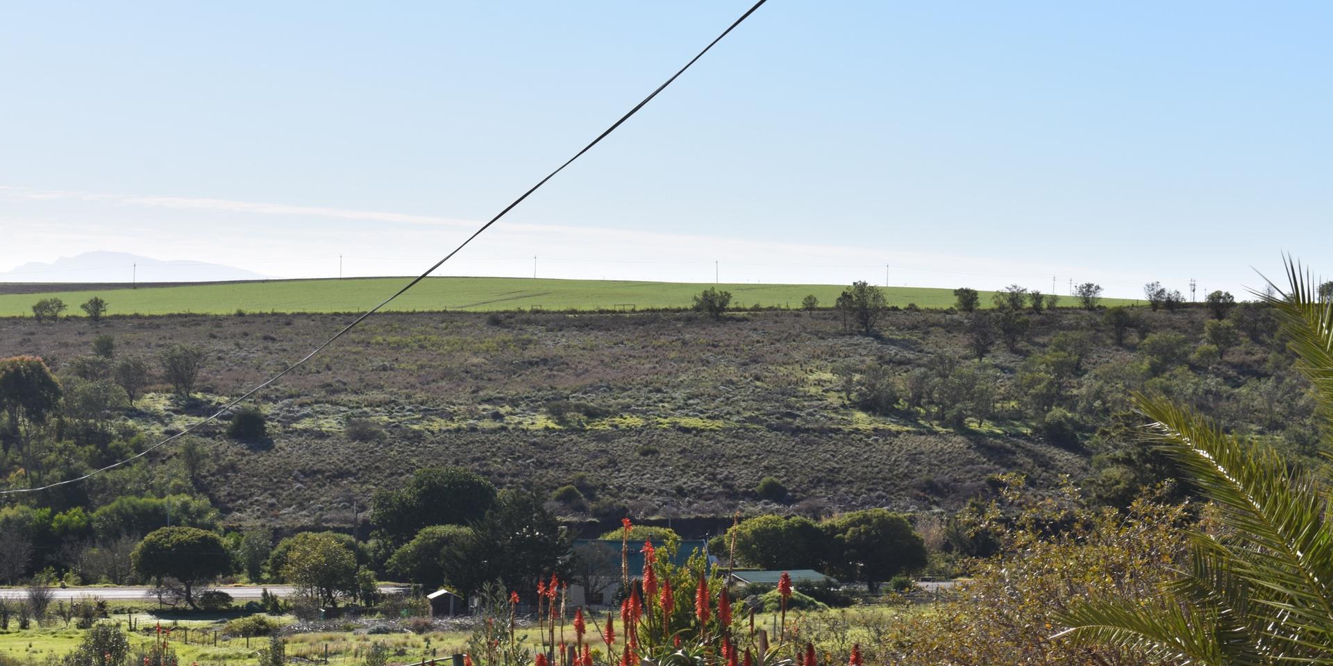 Image 5 of 6