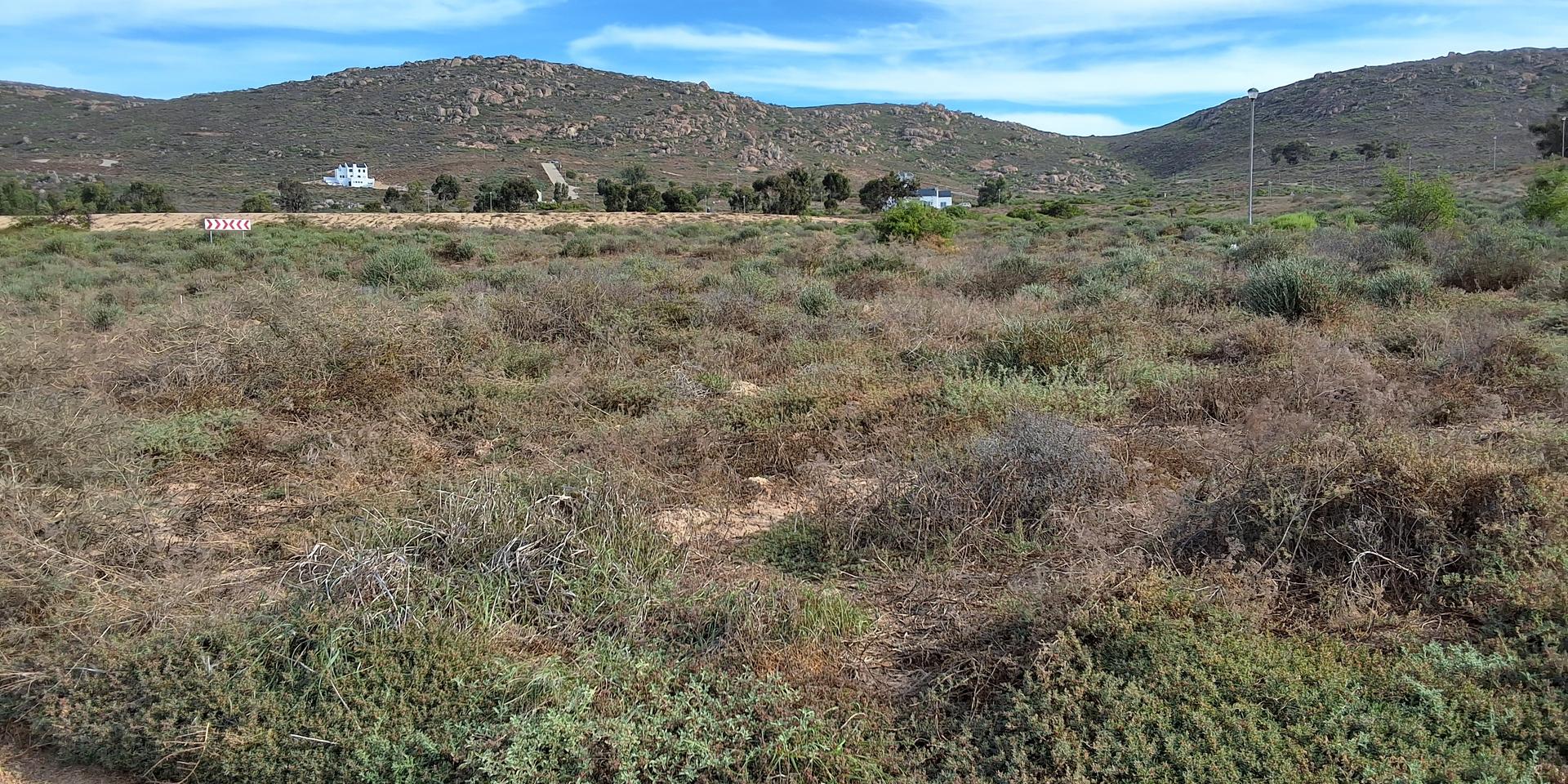 Image 5 of 6