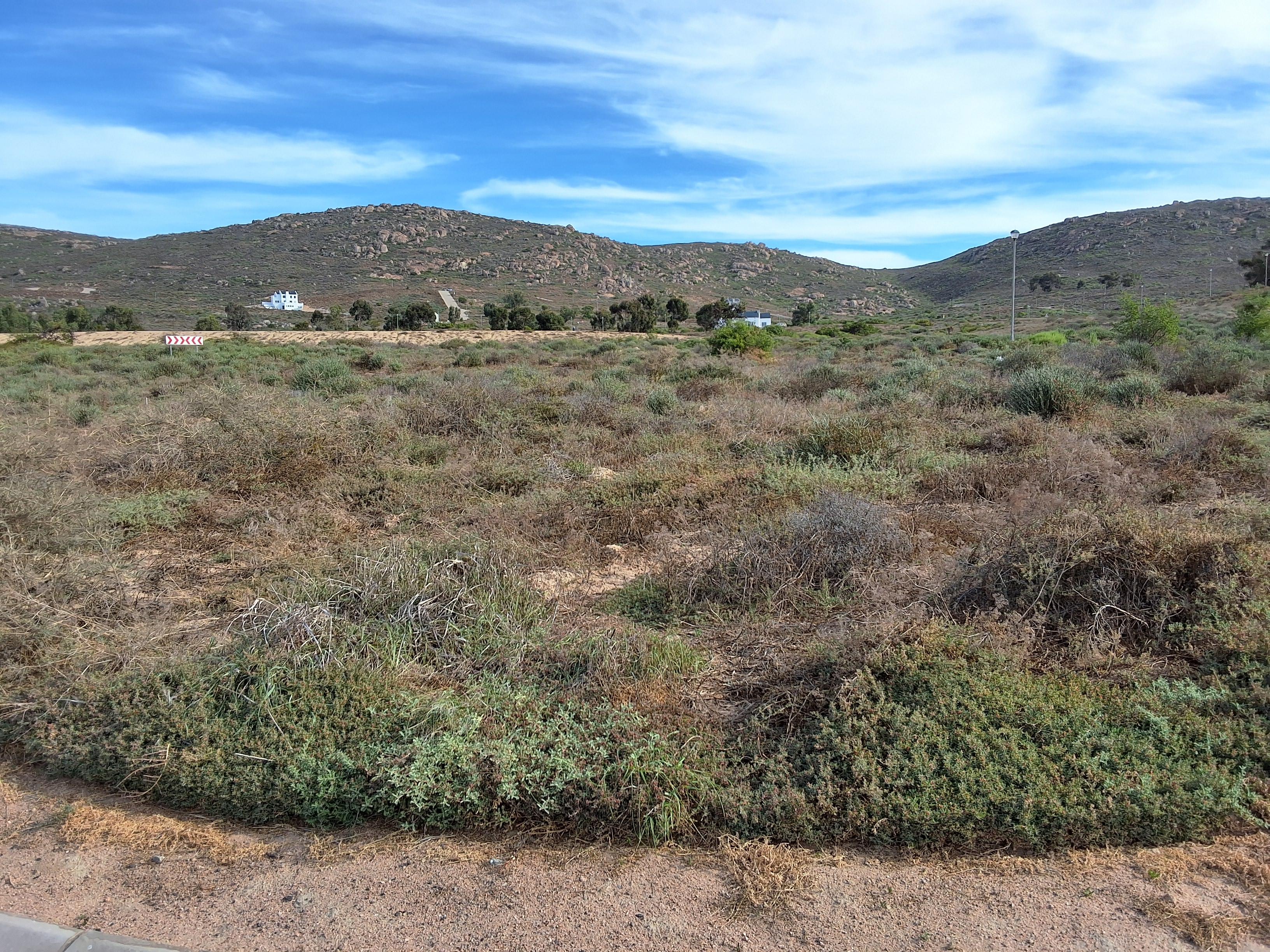 Image 5 of 6