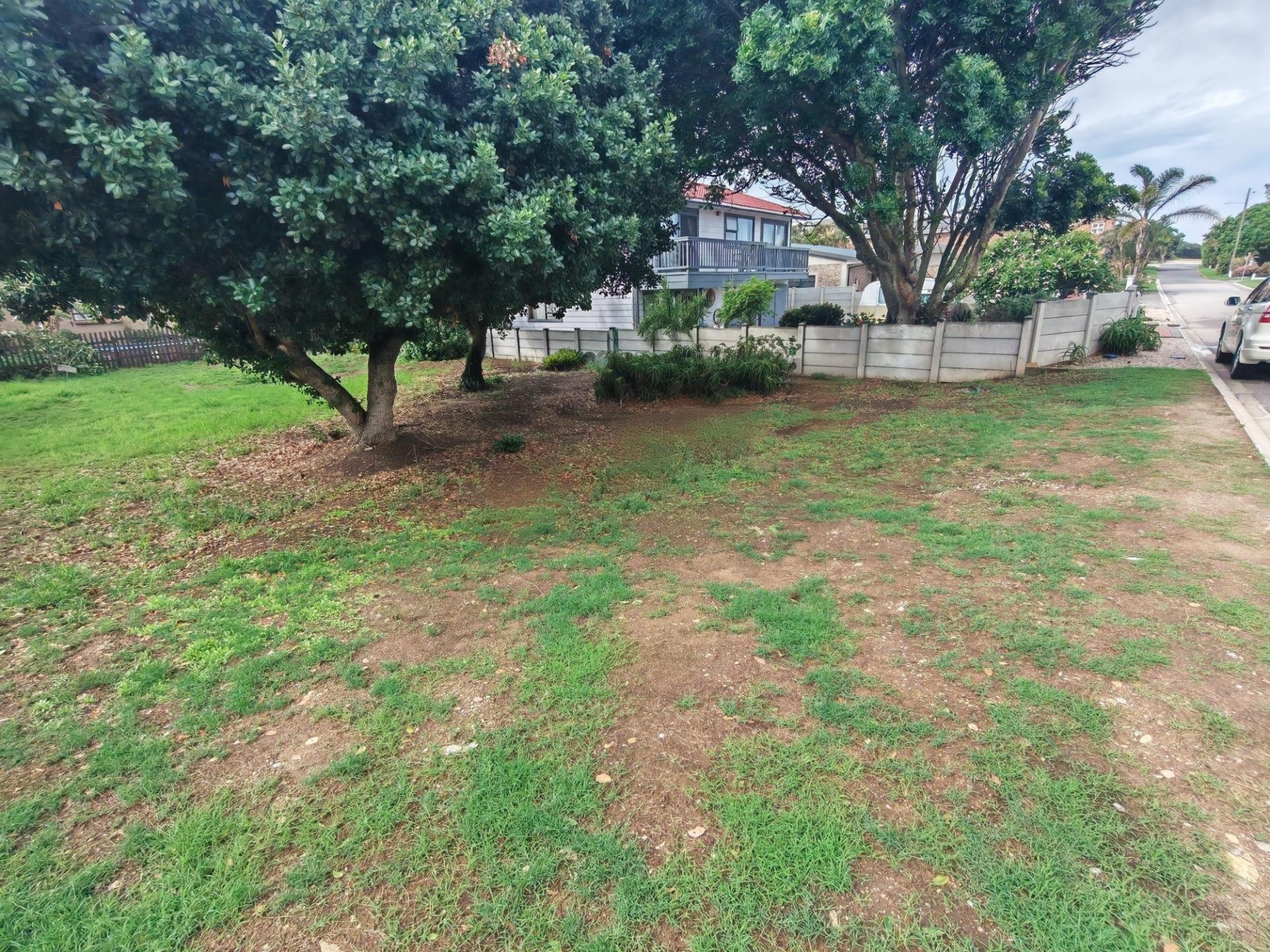 Image 5 of 6