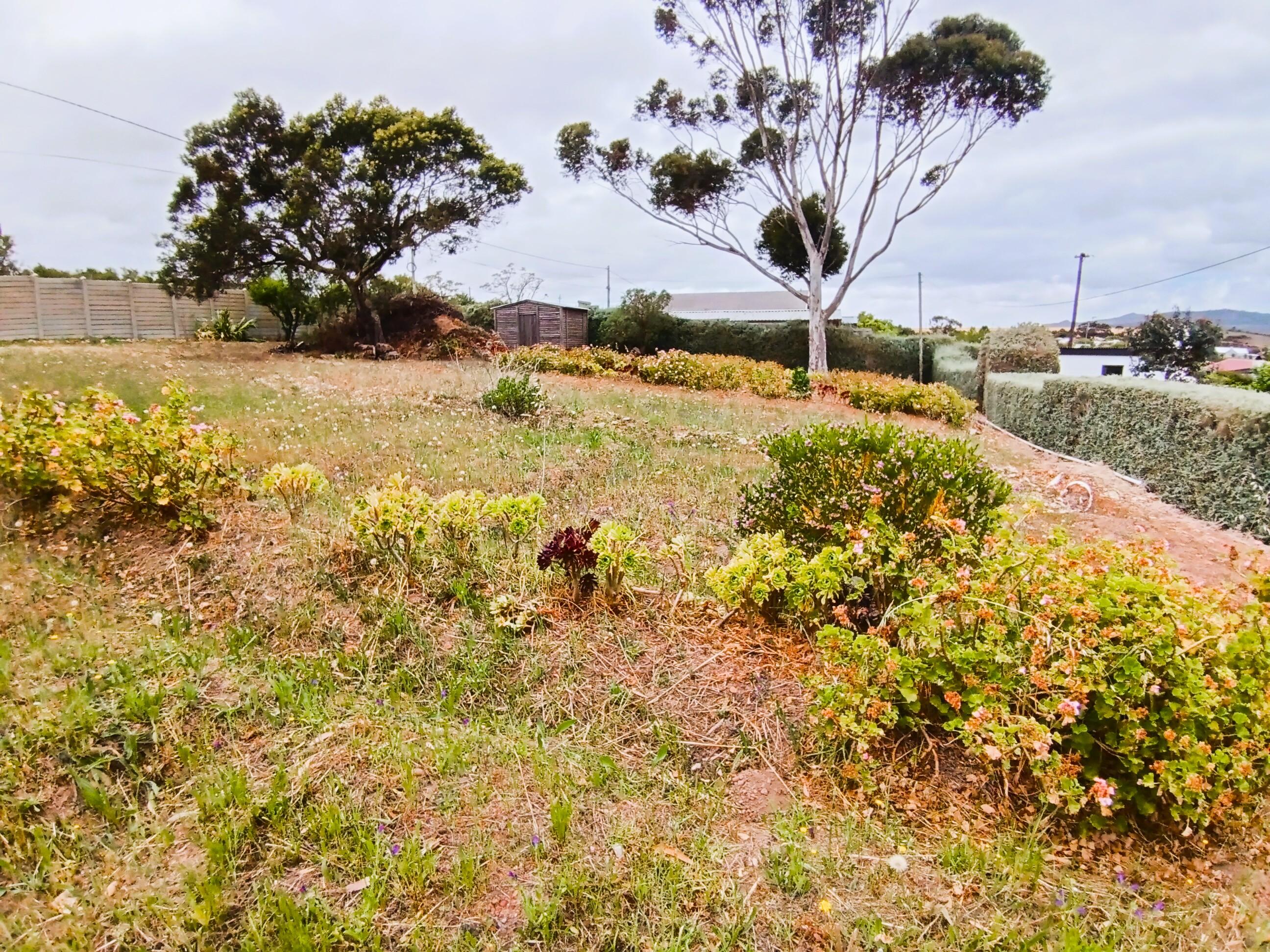 Image 4 of 6