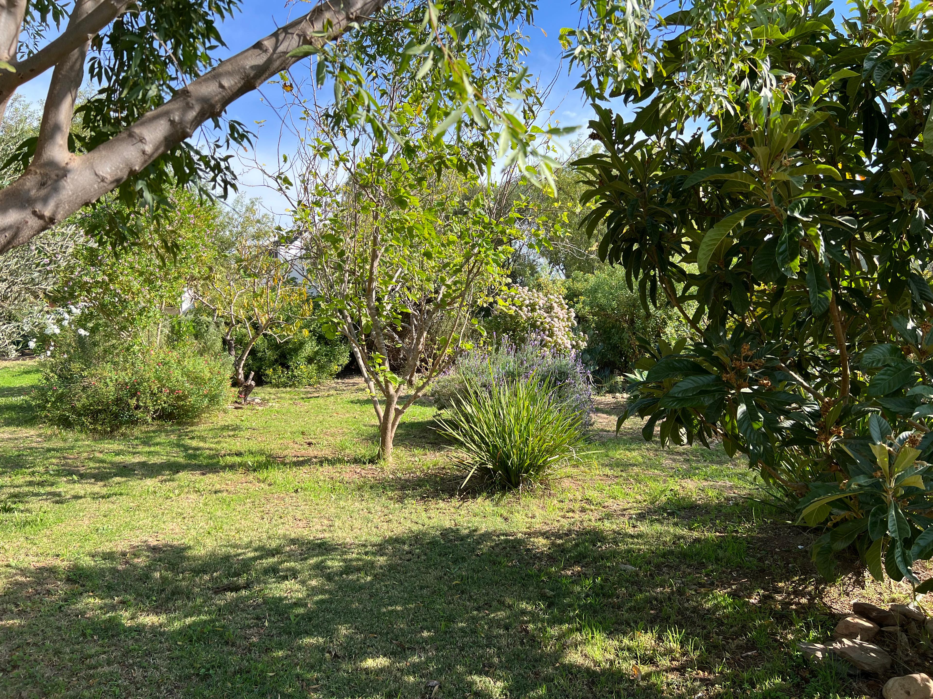 Image 48