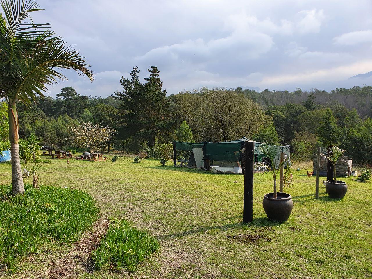 Image 31
