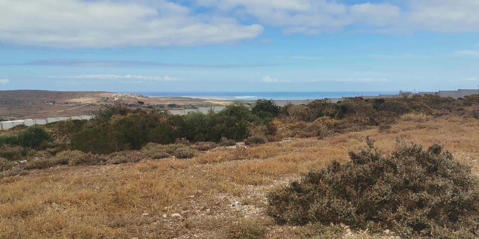 Image 4 of 6