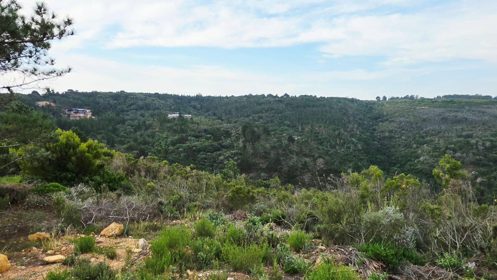 Image 2 of 6
