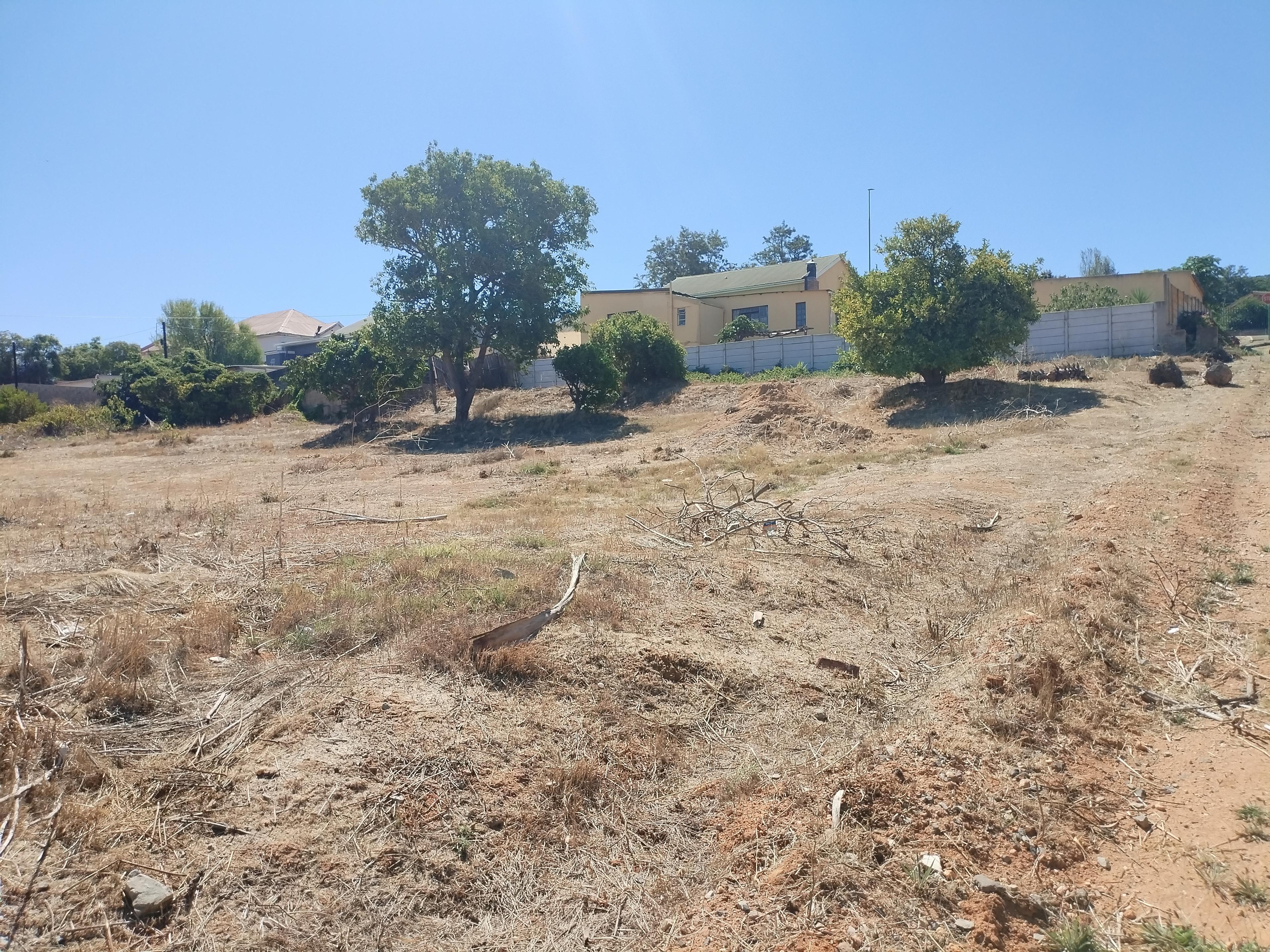 Image 11