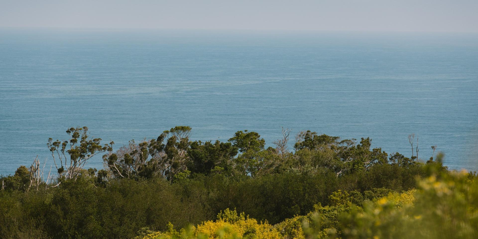 Image 3 of 6