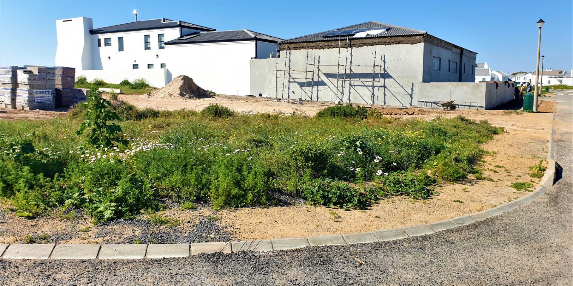 Image 4 of 6