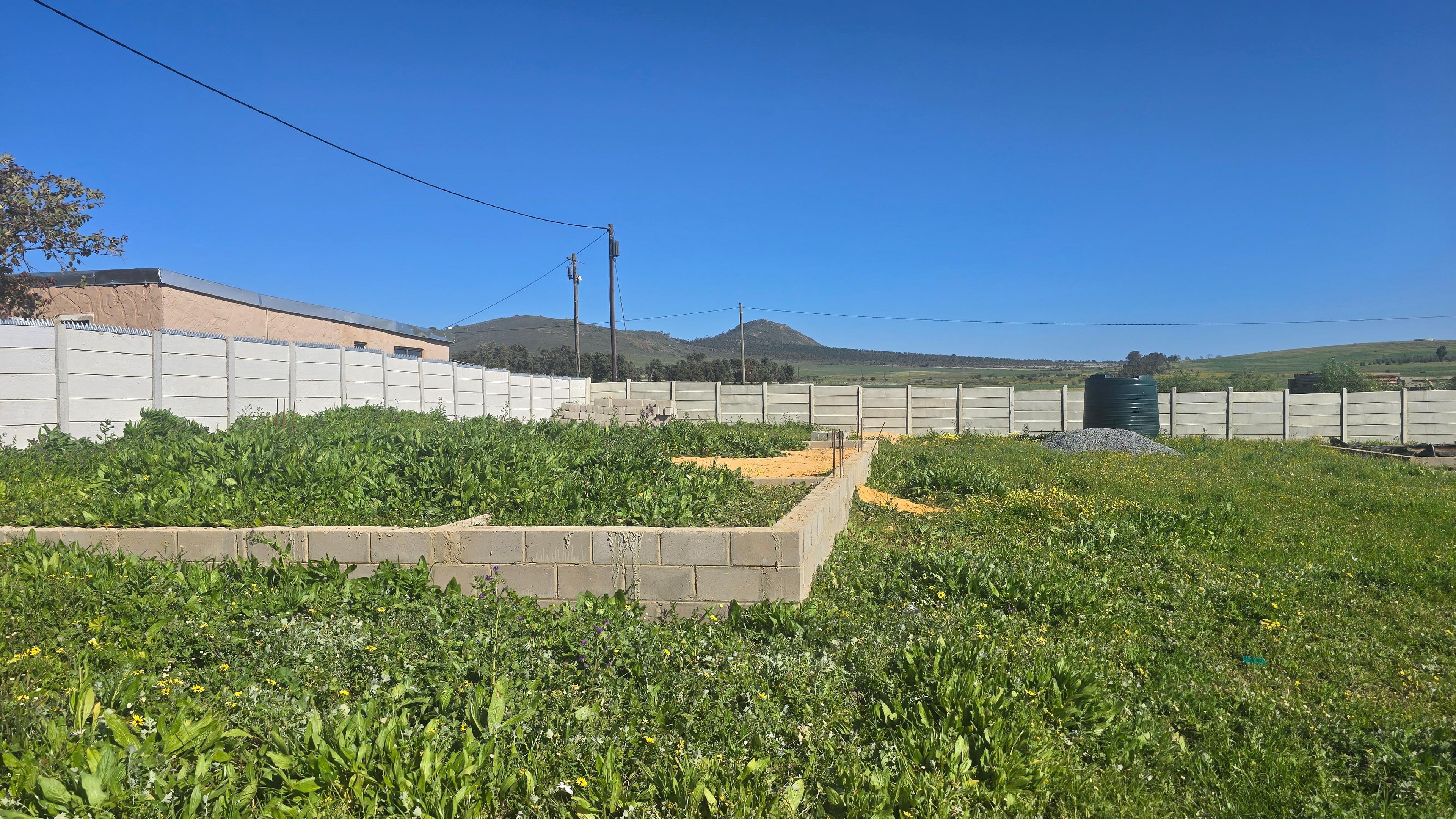 Image 4 of 6