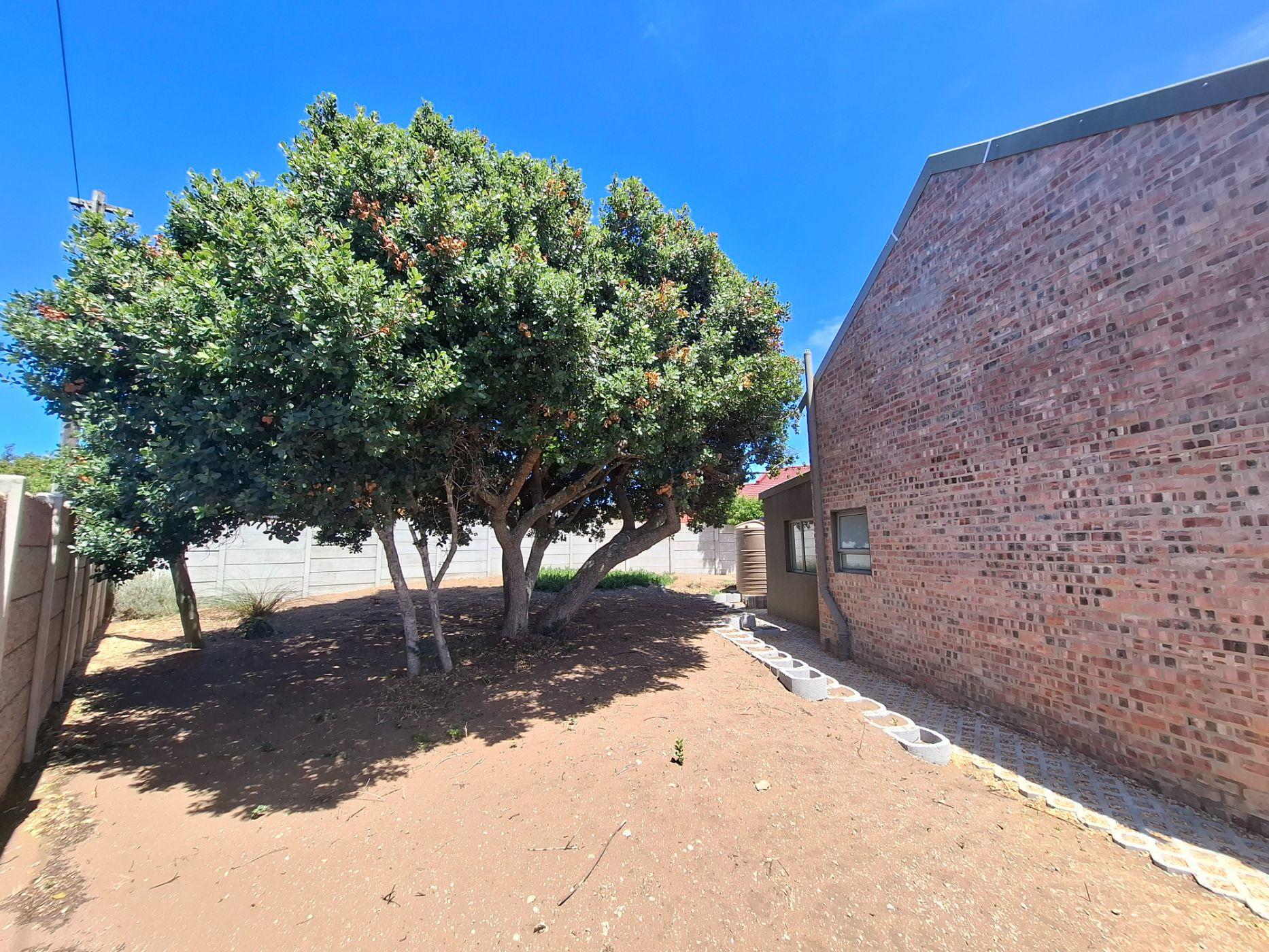 Image 15