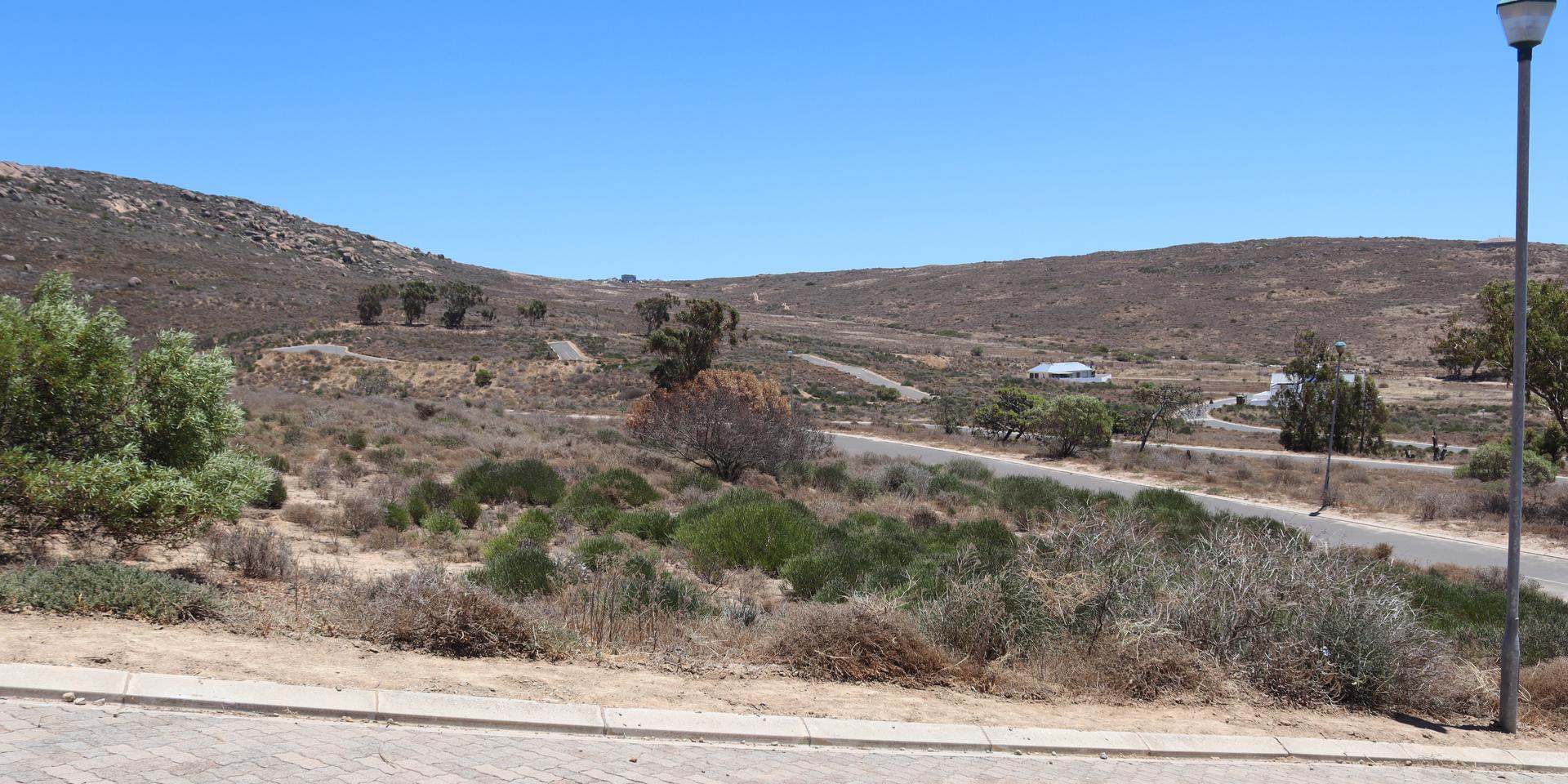 Image 4 of 6