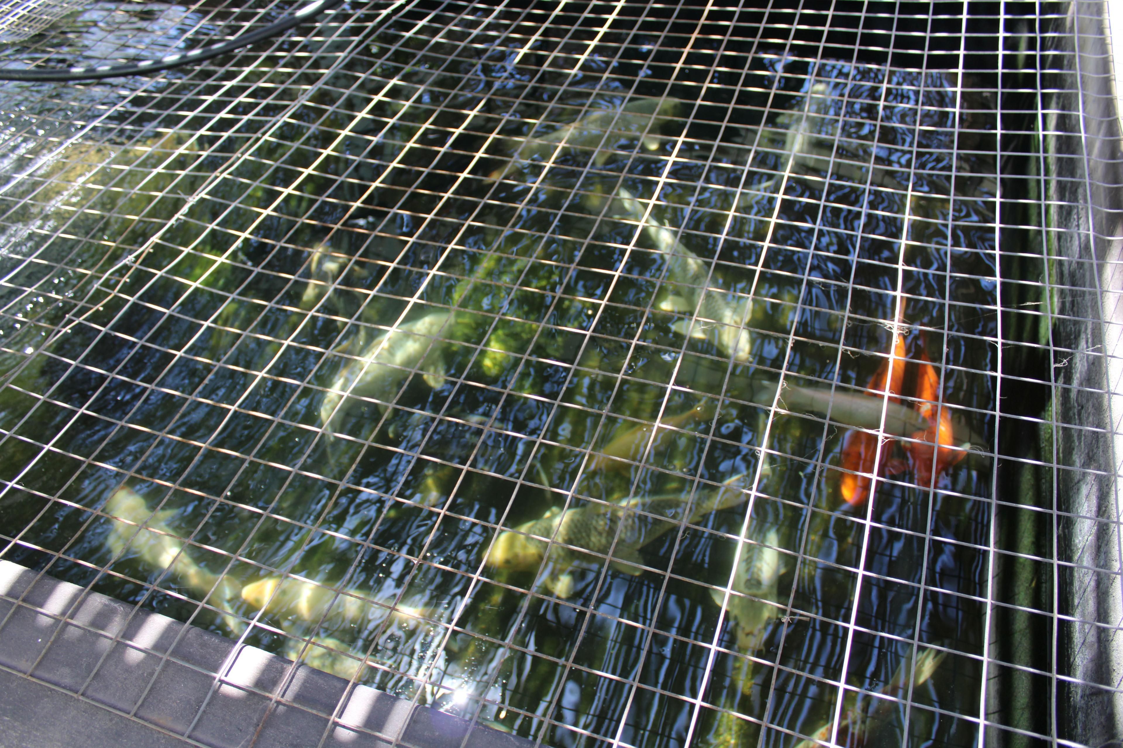 Image 63