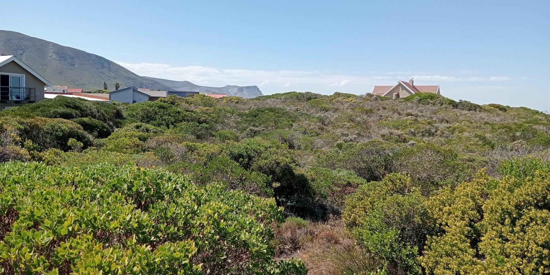 Image 3 of 6