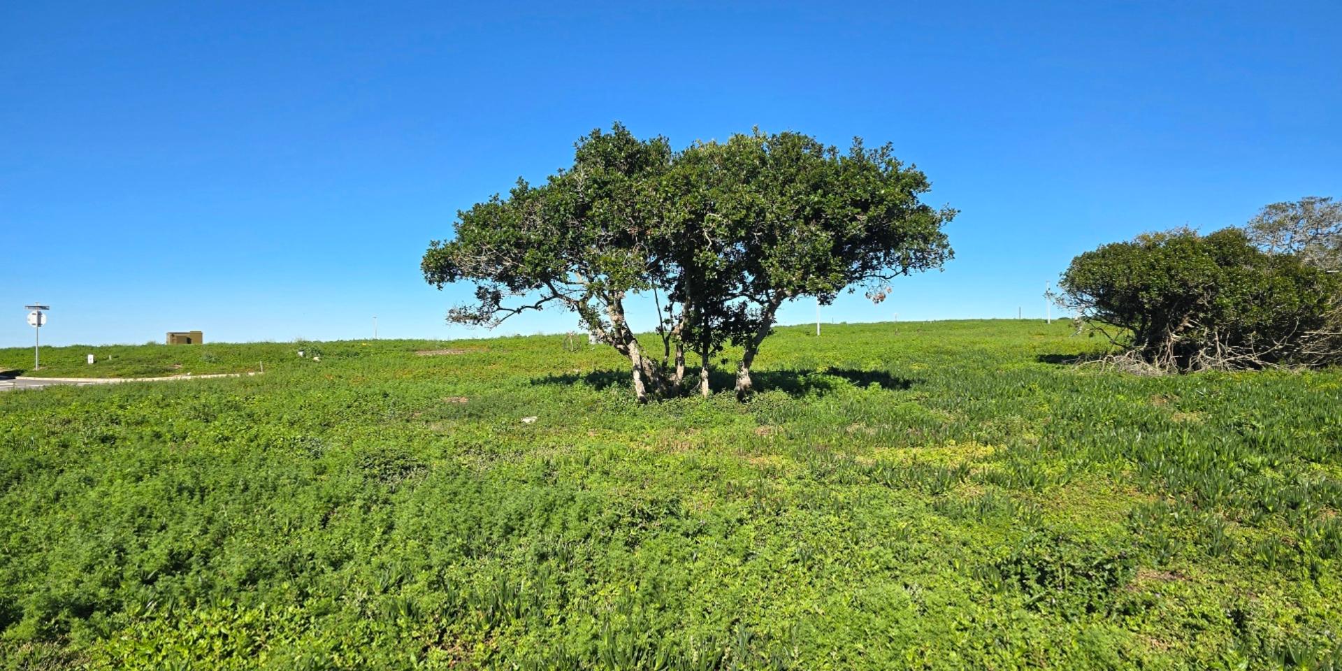 Image 4 of 6