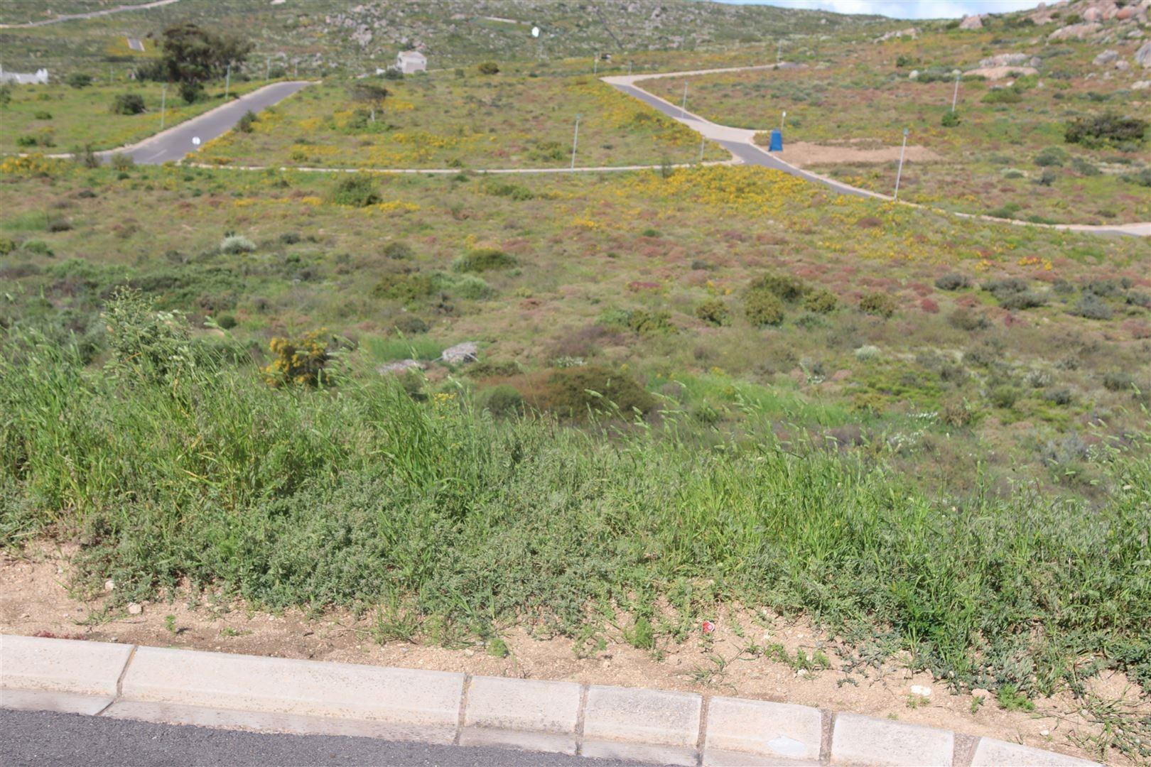Image 4 of 6