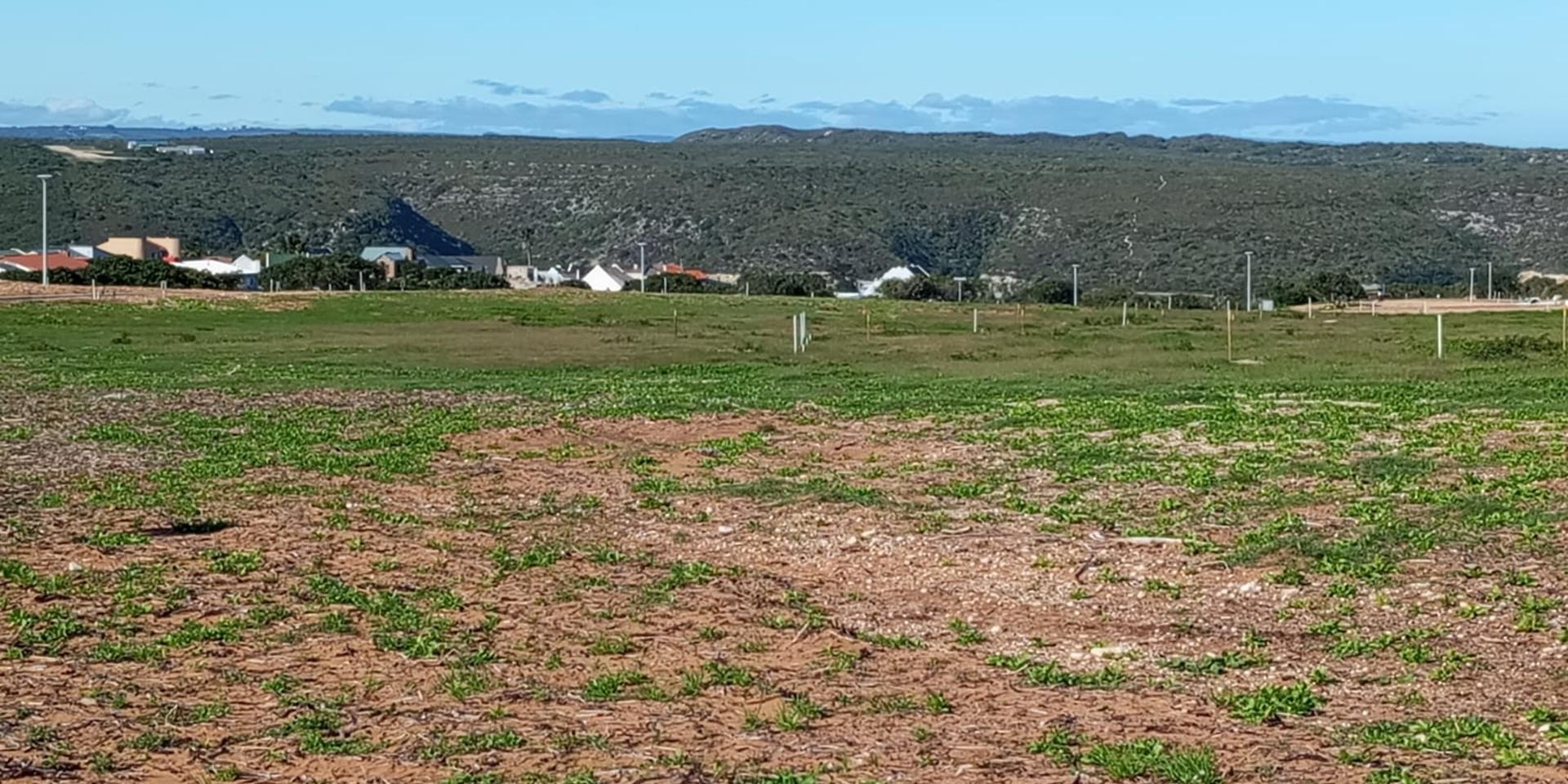 Image 5 of 6