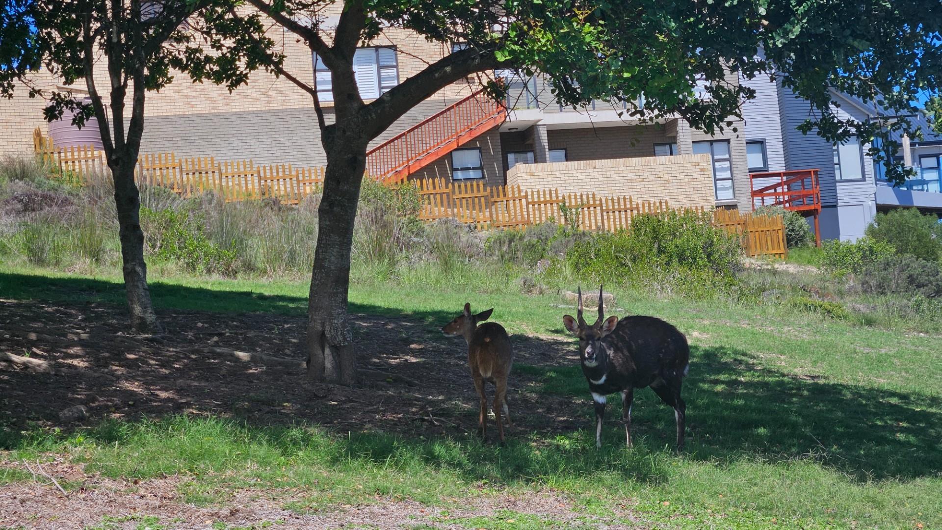 Image 89