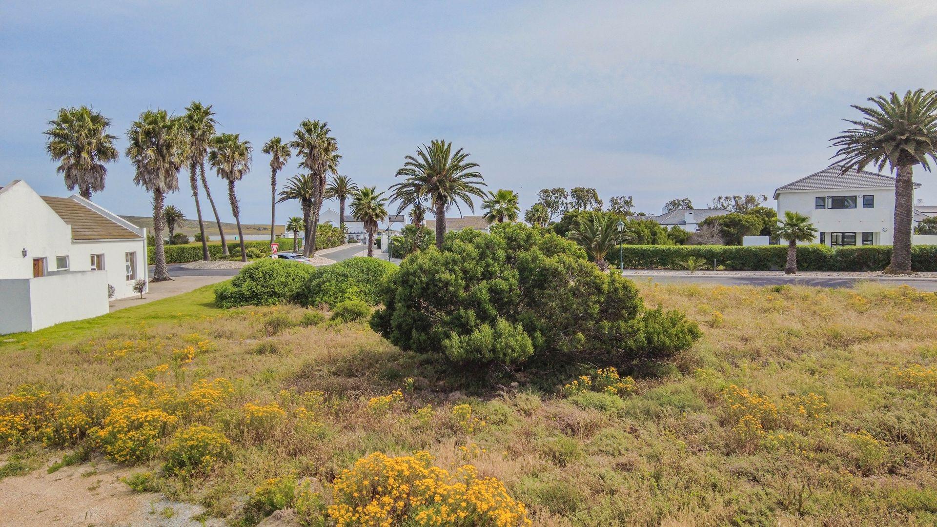 Image 14