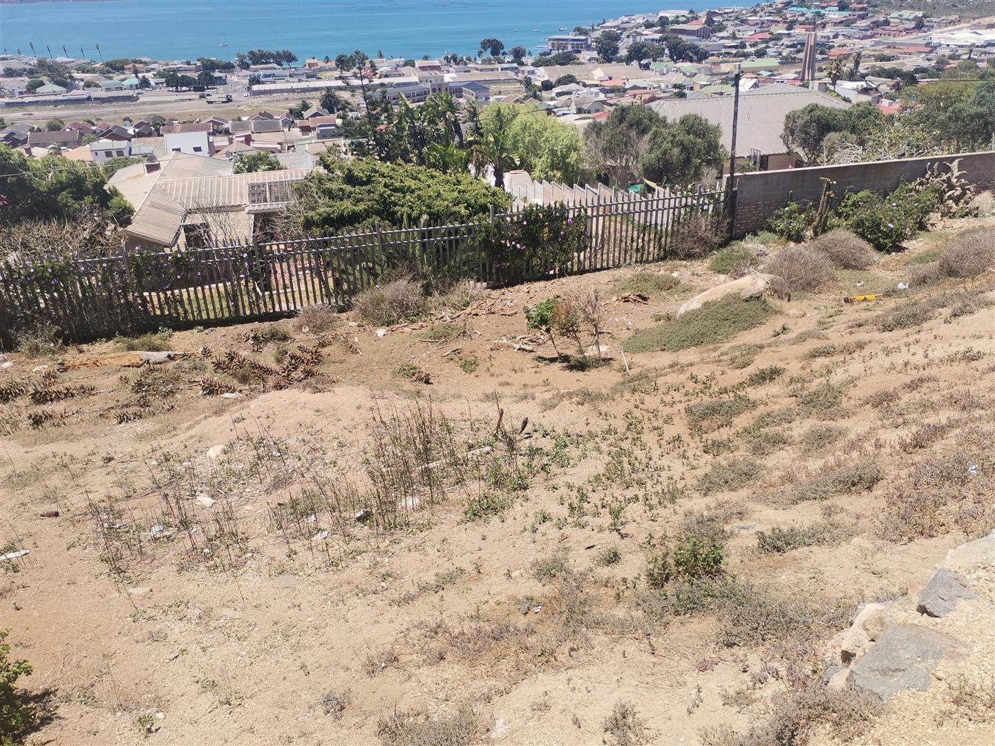 Image 4 of 6