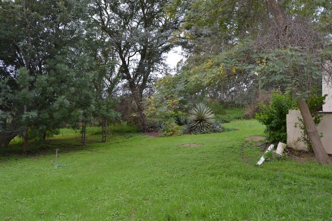 Image 14