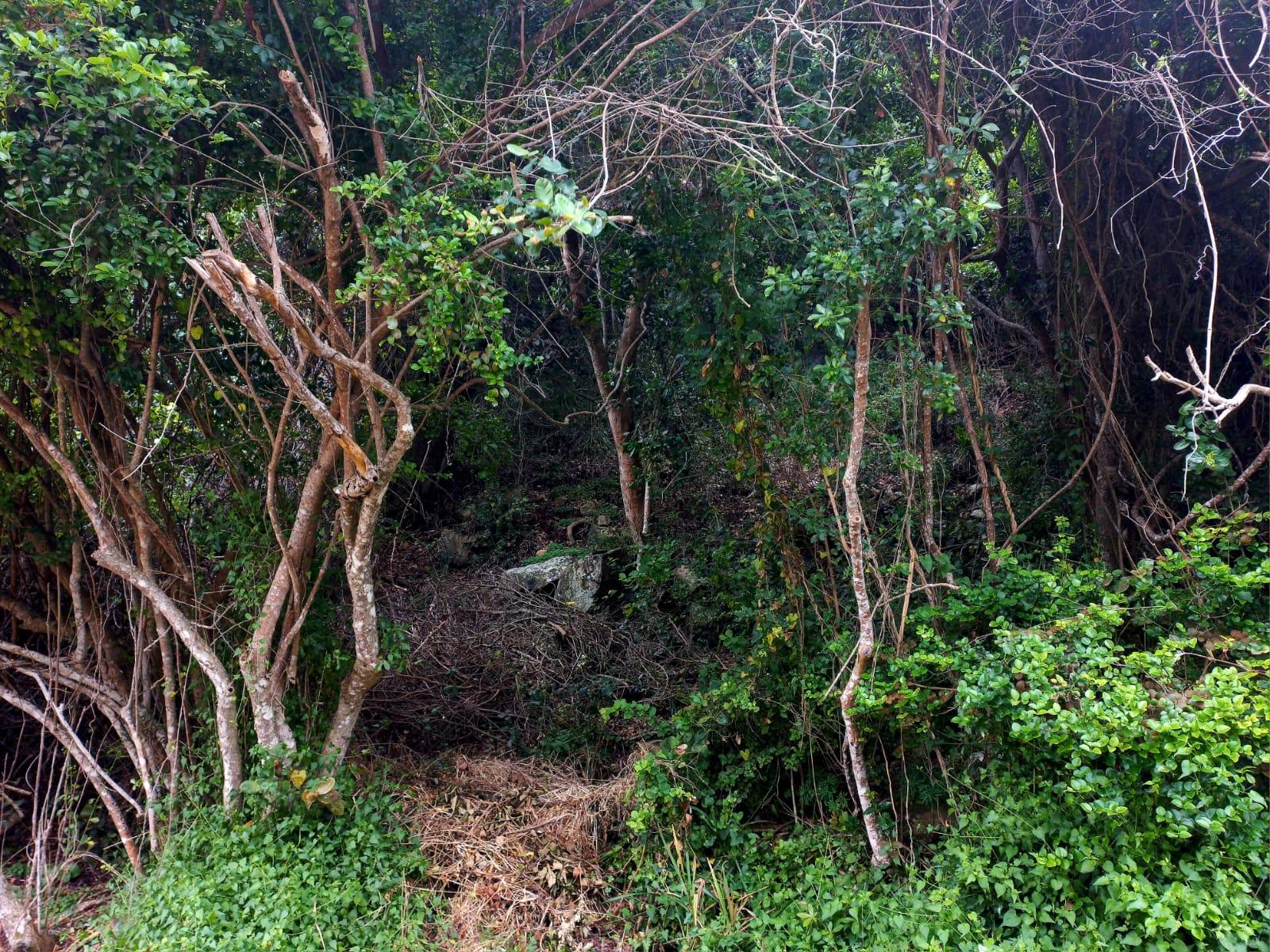 Image 8