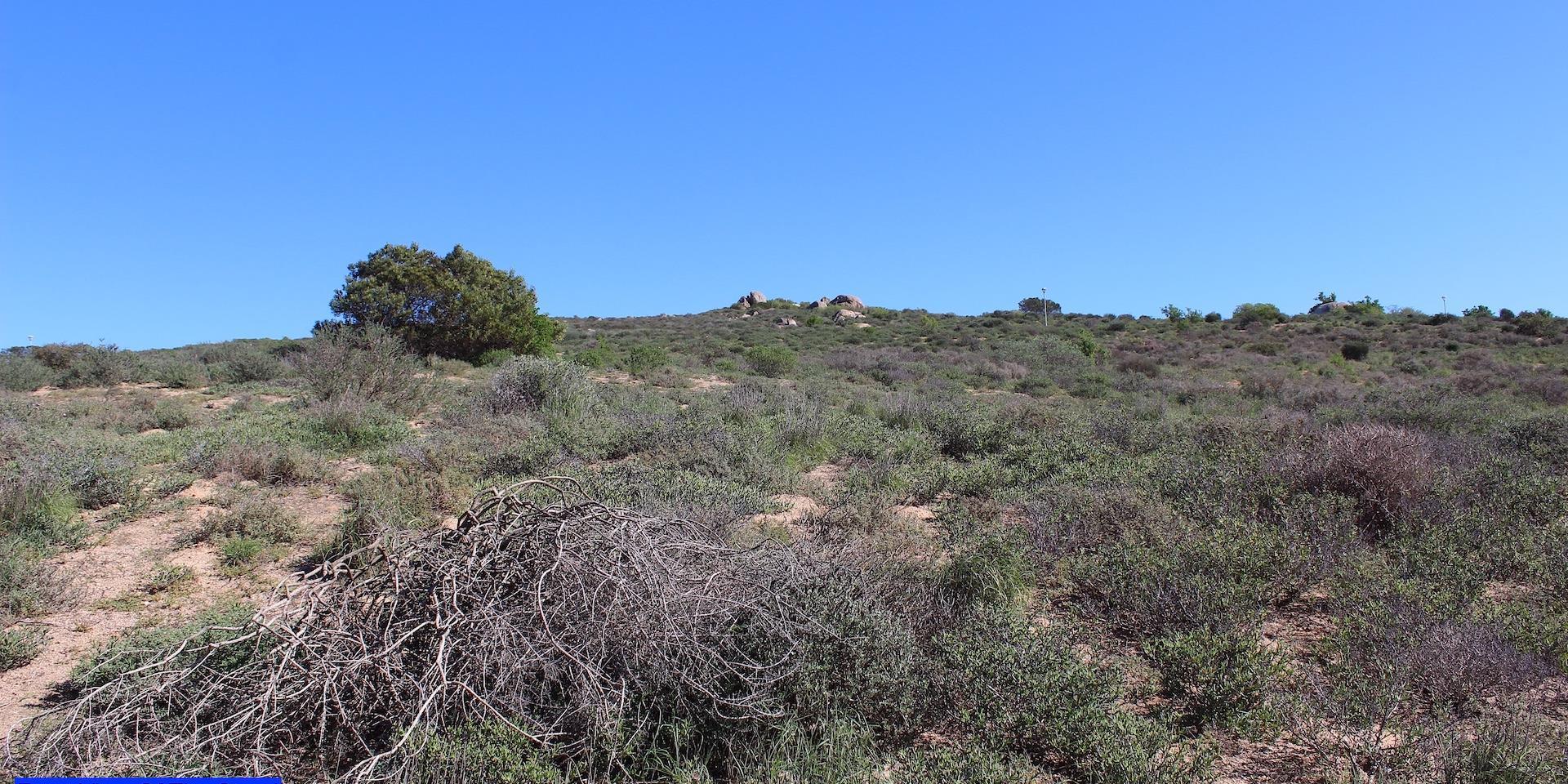 Image 3 of 6