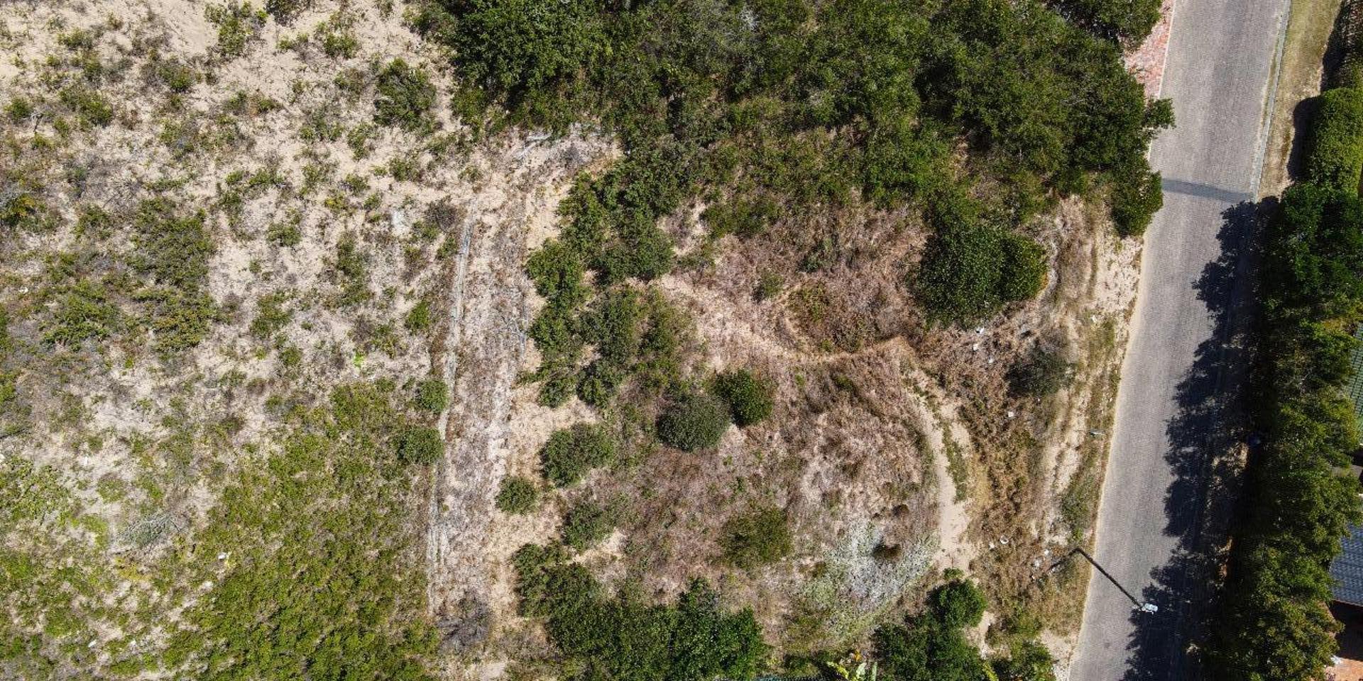 Image 4 of 6