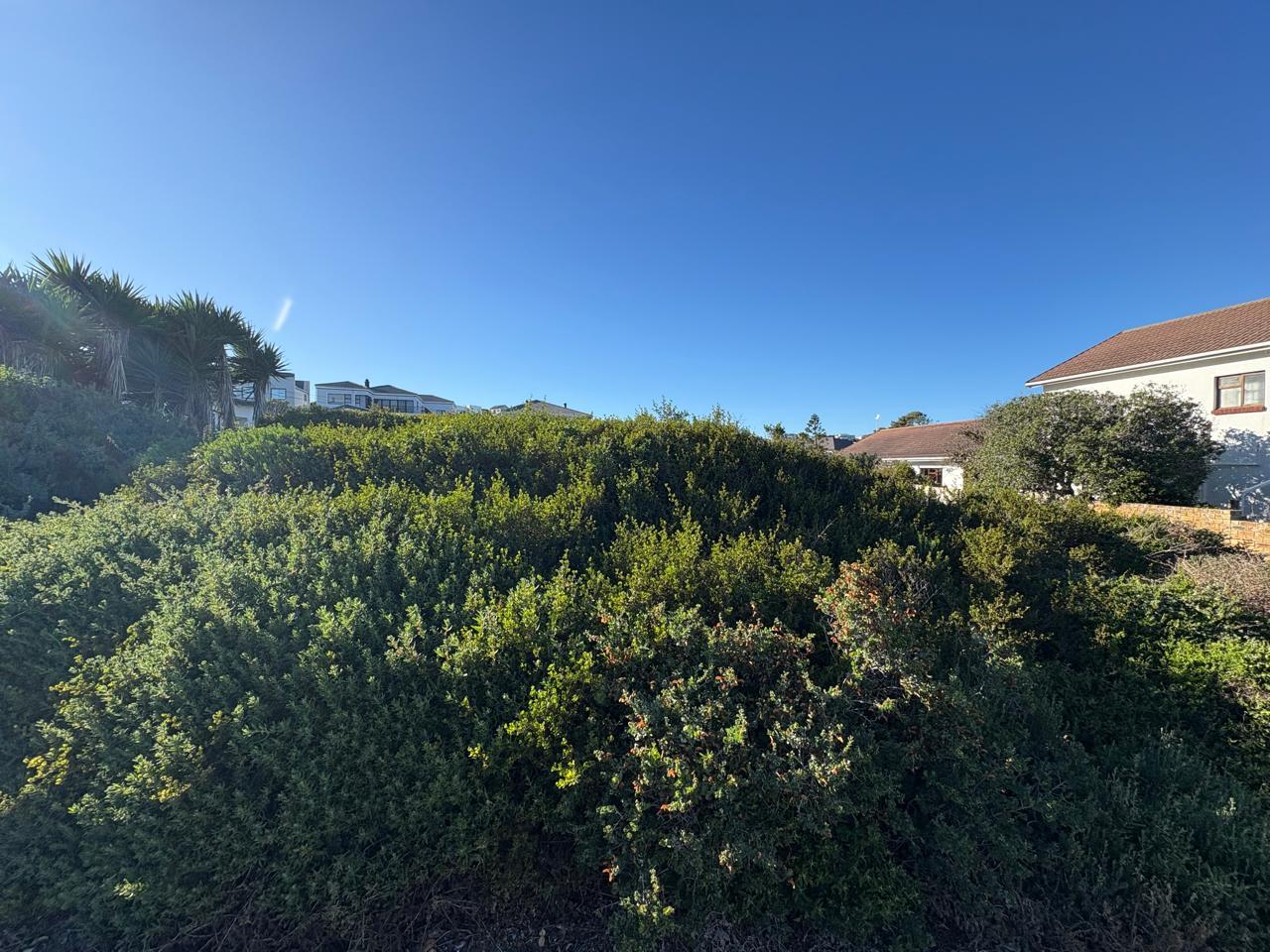 Image 5 of 6