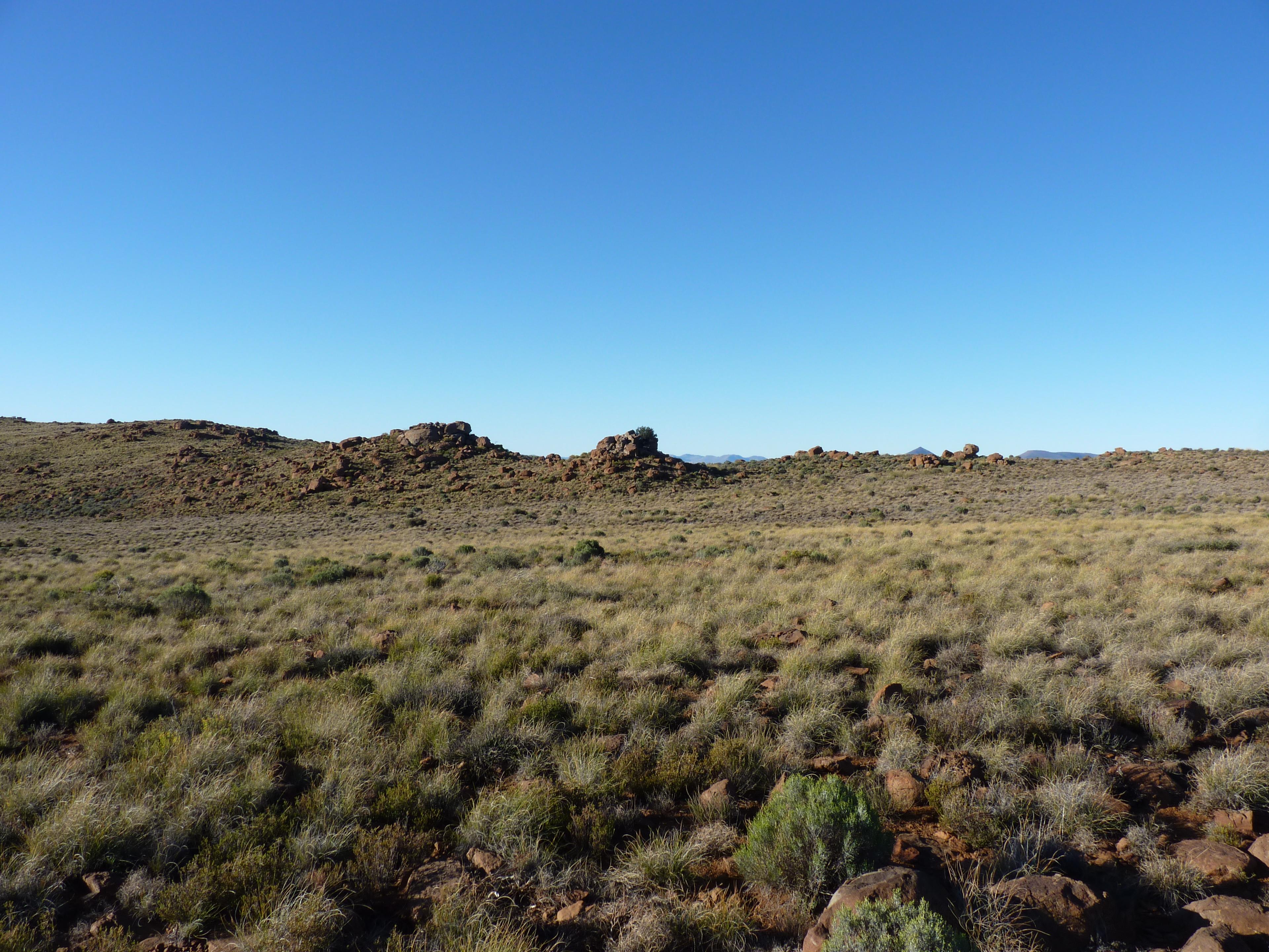 Image 60