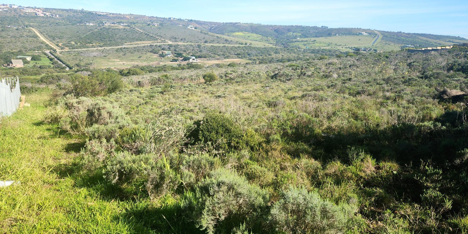 Image 4 of 6