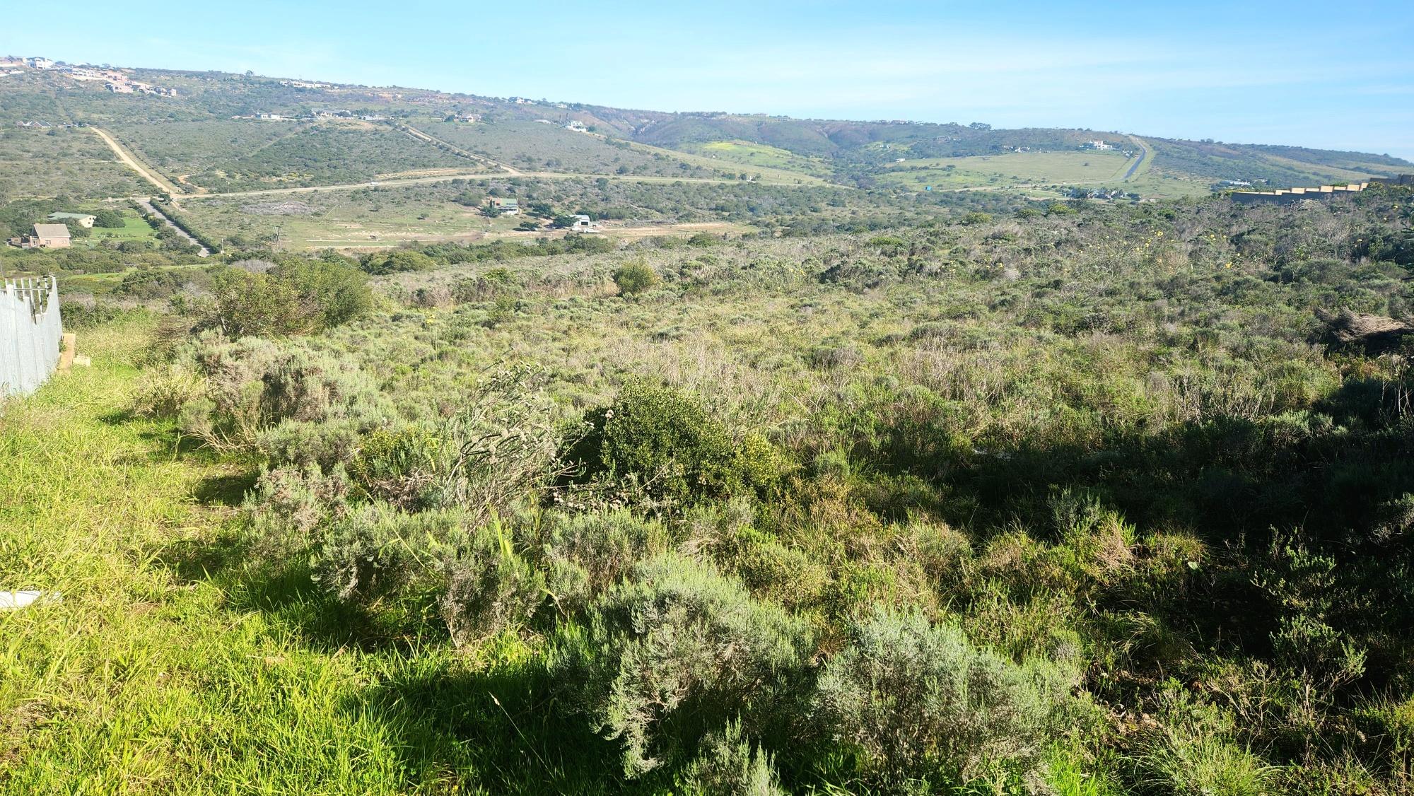 Image 4 of 6