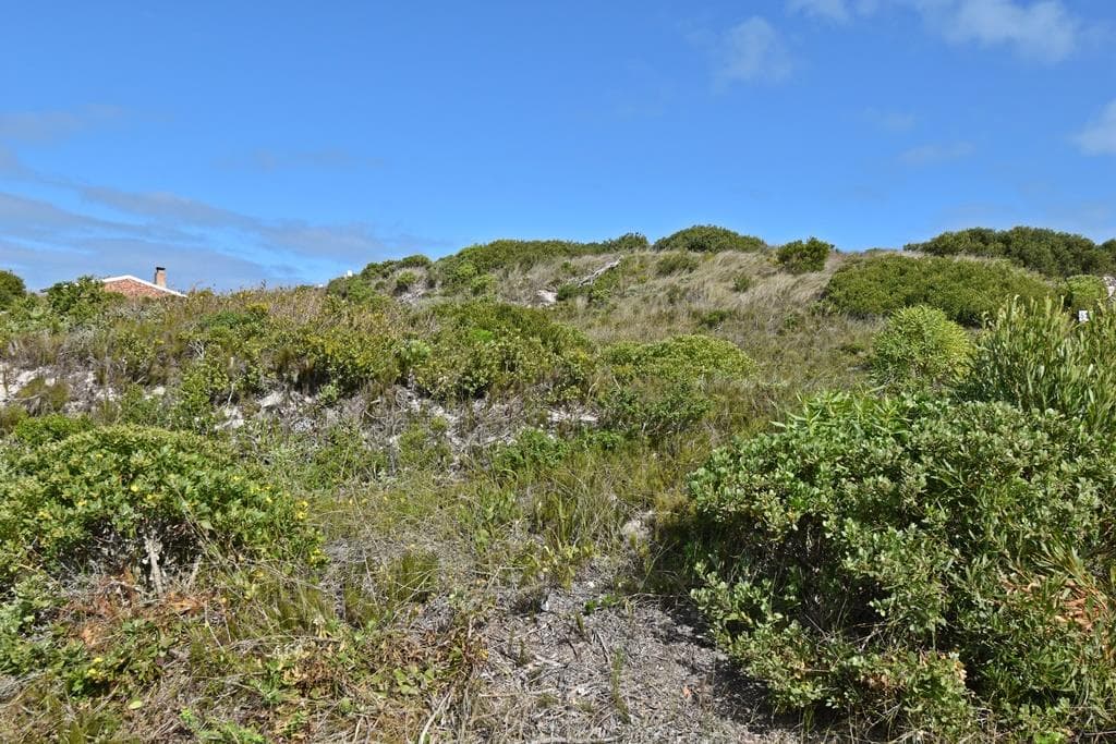 Image 12