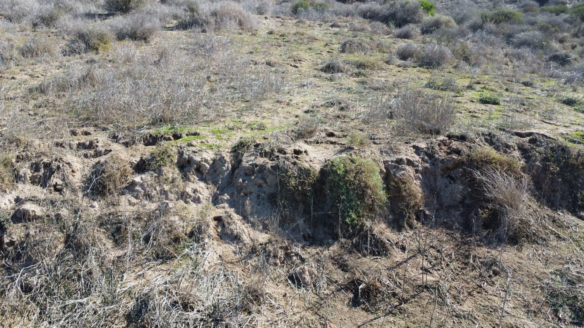 Image 14