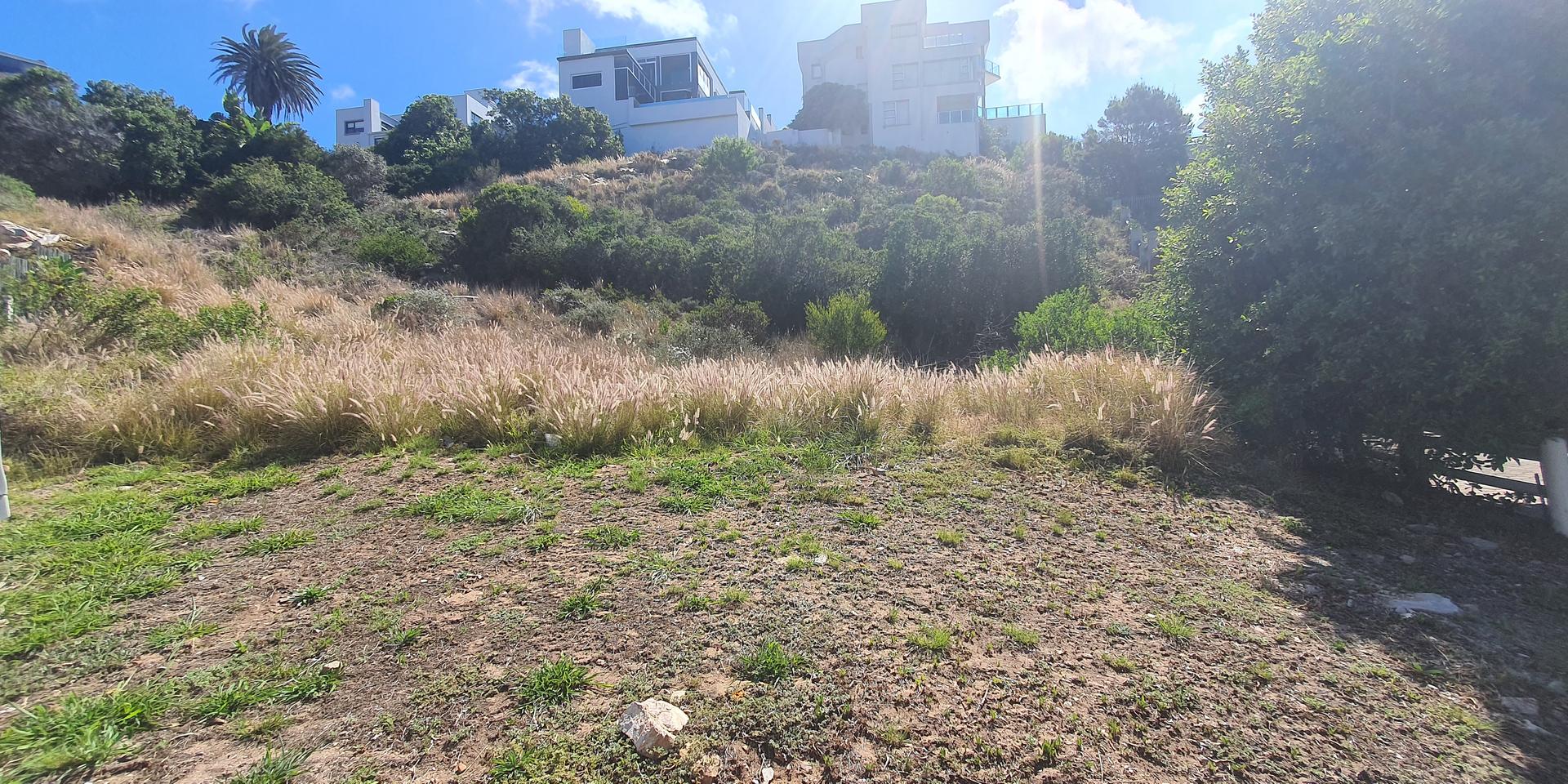 Image 4 of 6