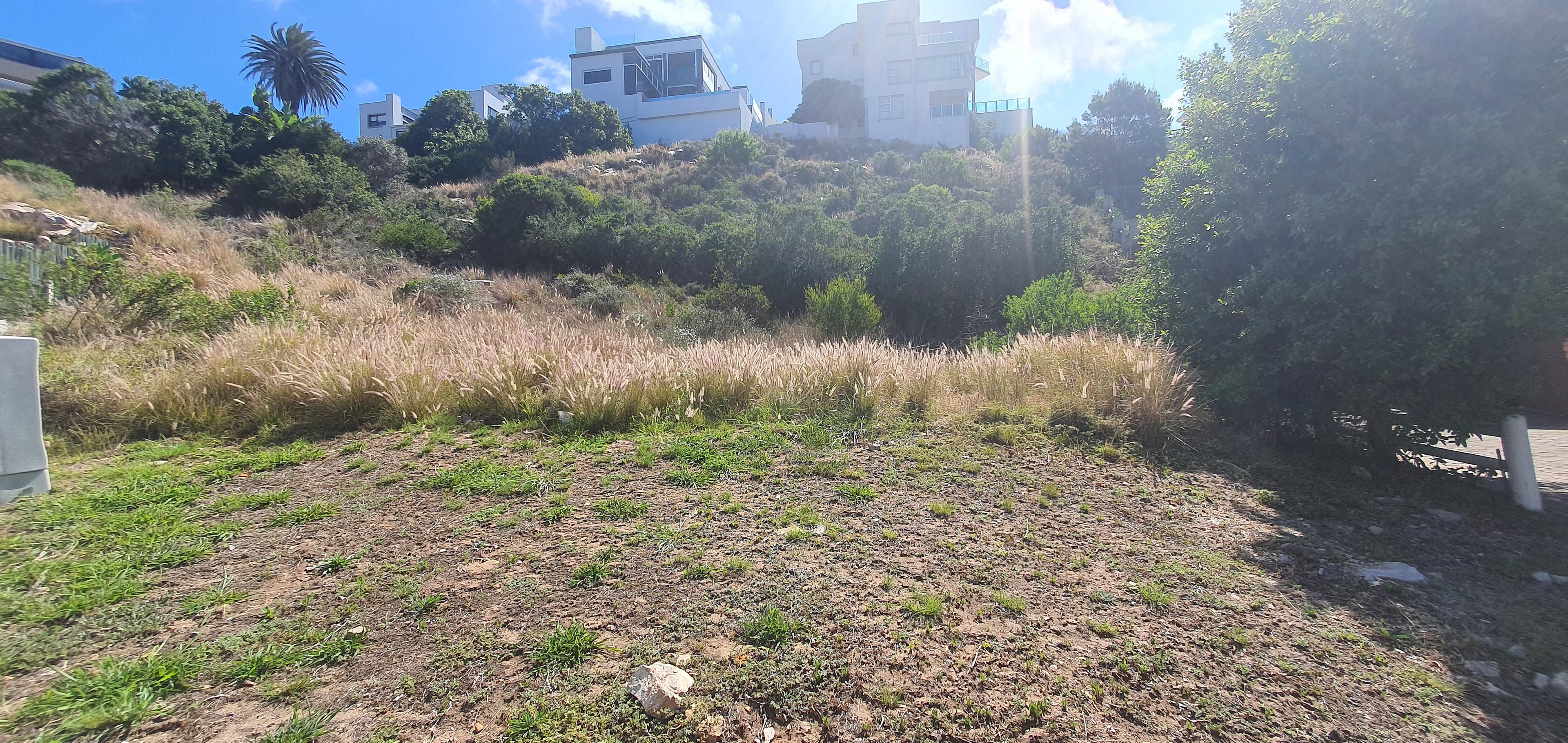 Image 4 of 6