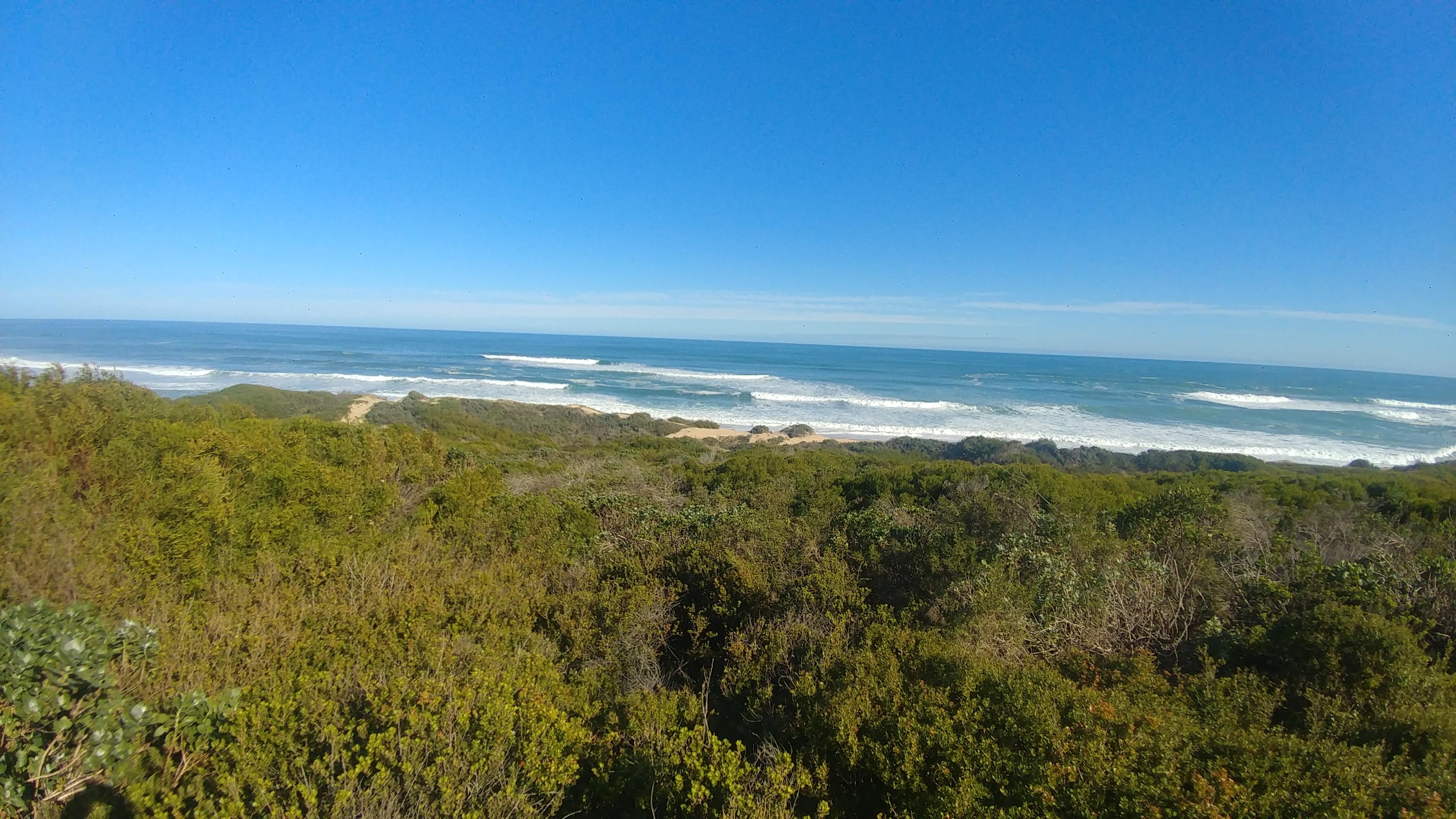 Image 5 of 6